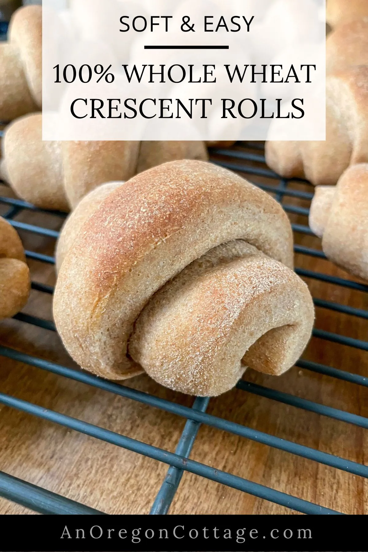 All Whole Wheat Crescent Rolls