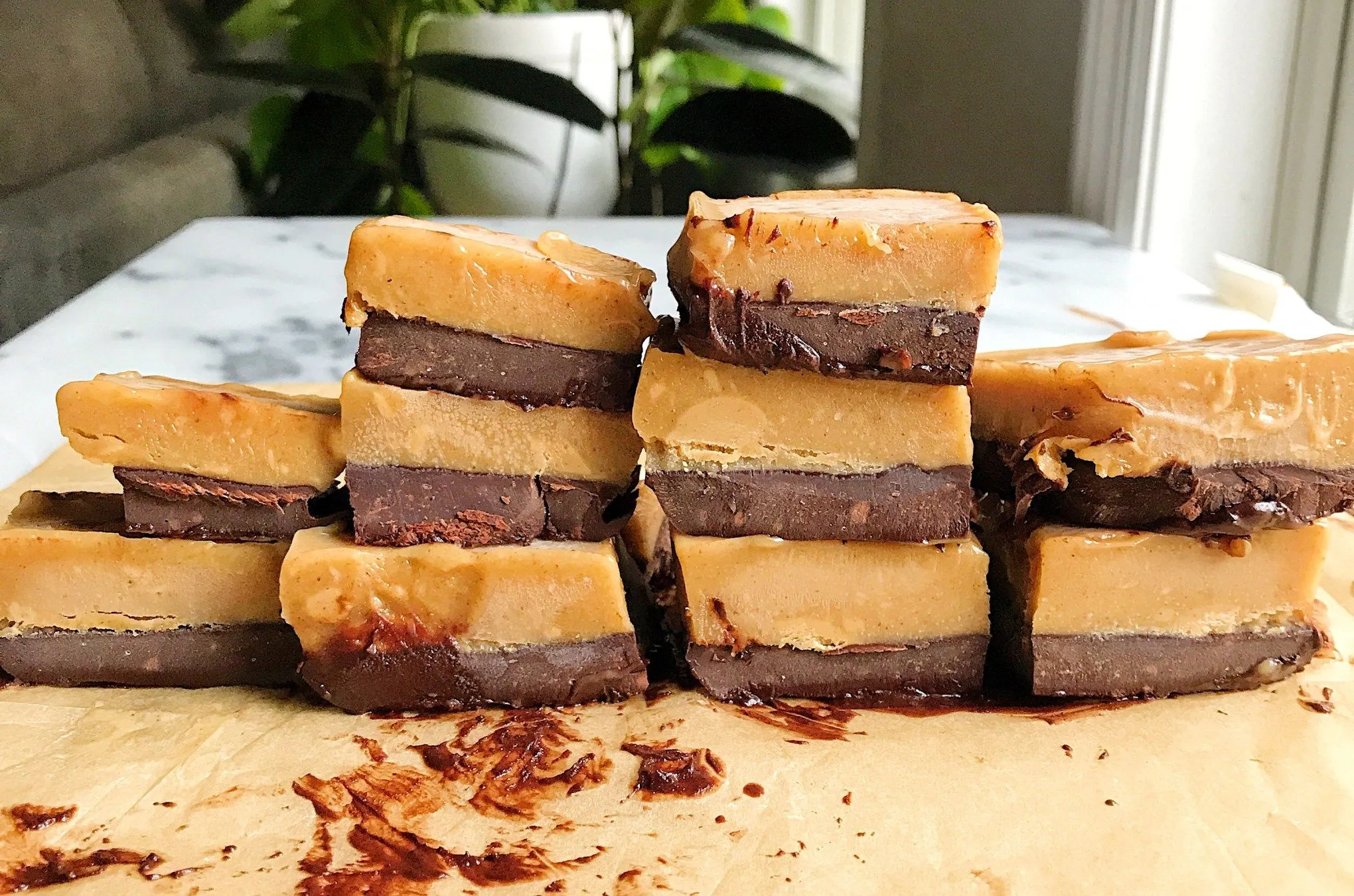 Almond Coconut Fudge Bars