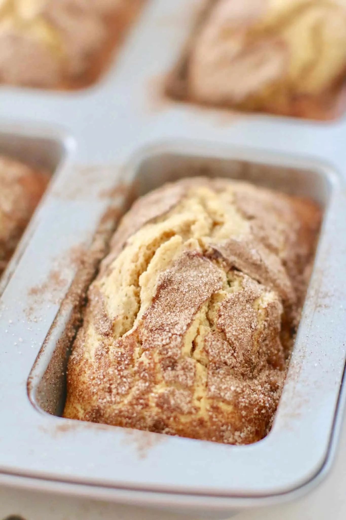Amish Friendship Bread Without Starter