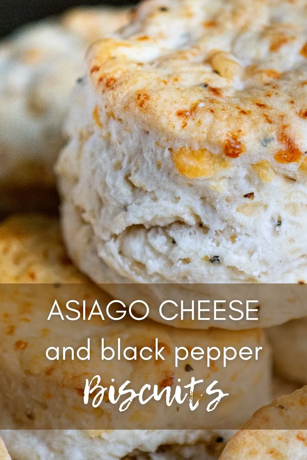 Asiago Romano and Black Pepper Biscotti