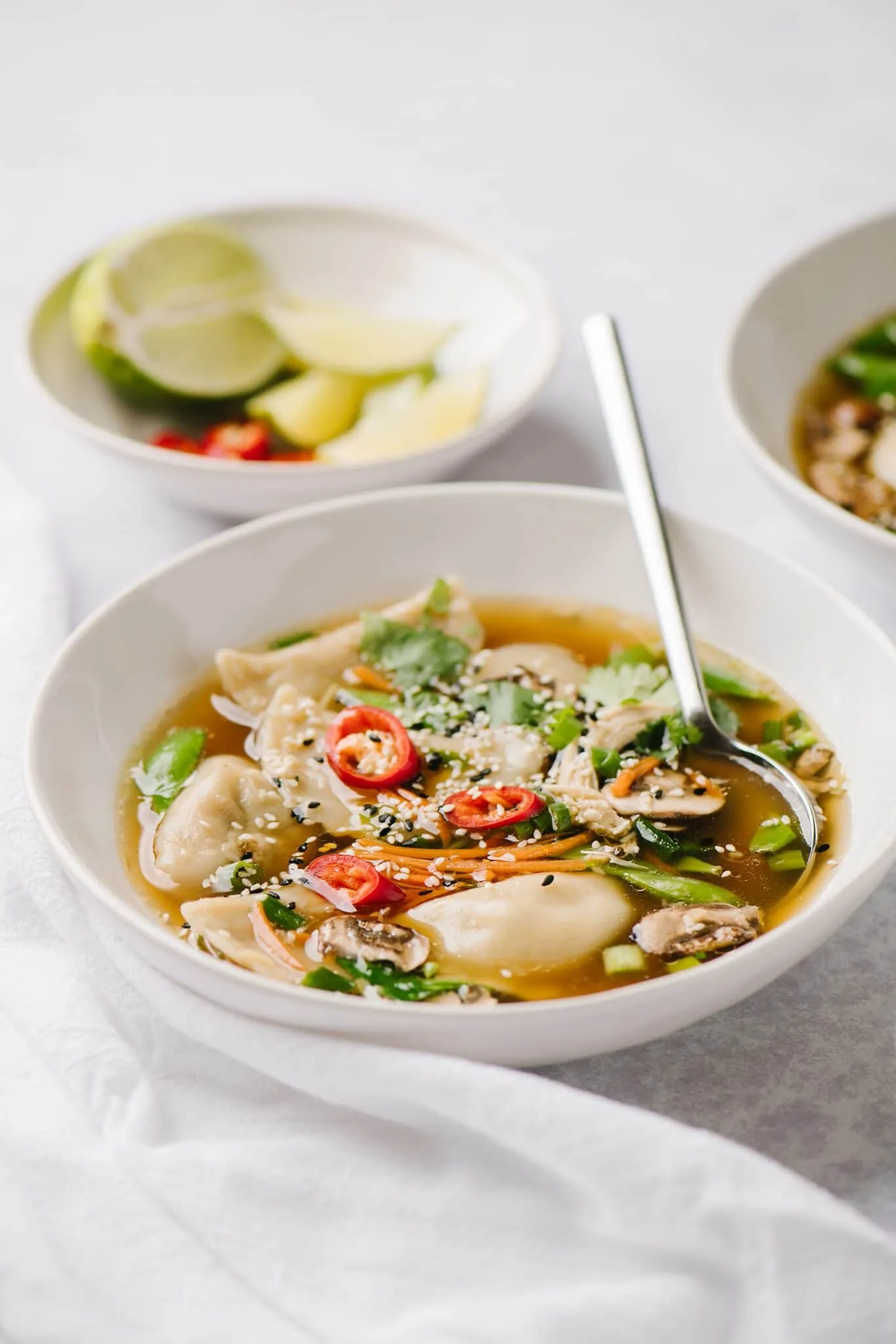 Asian Chicken Soup with Vegetable Dumplings