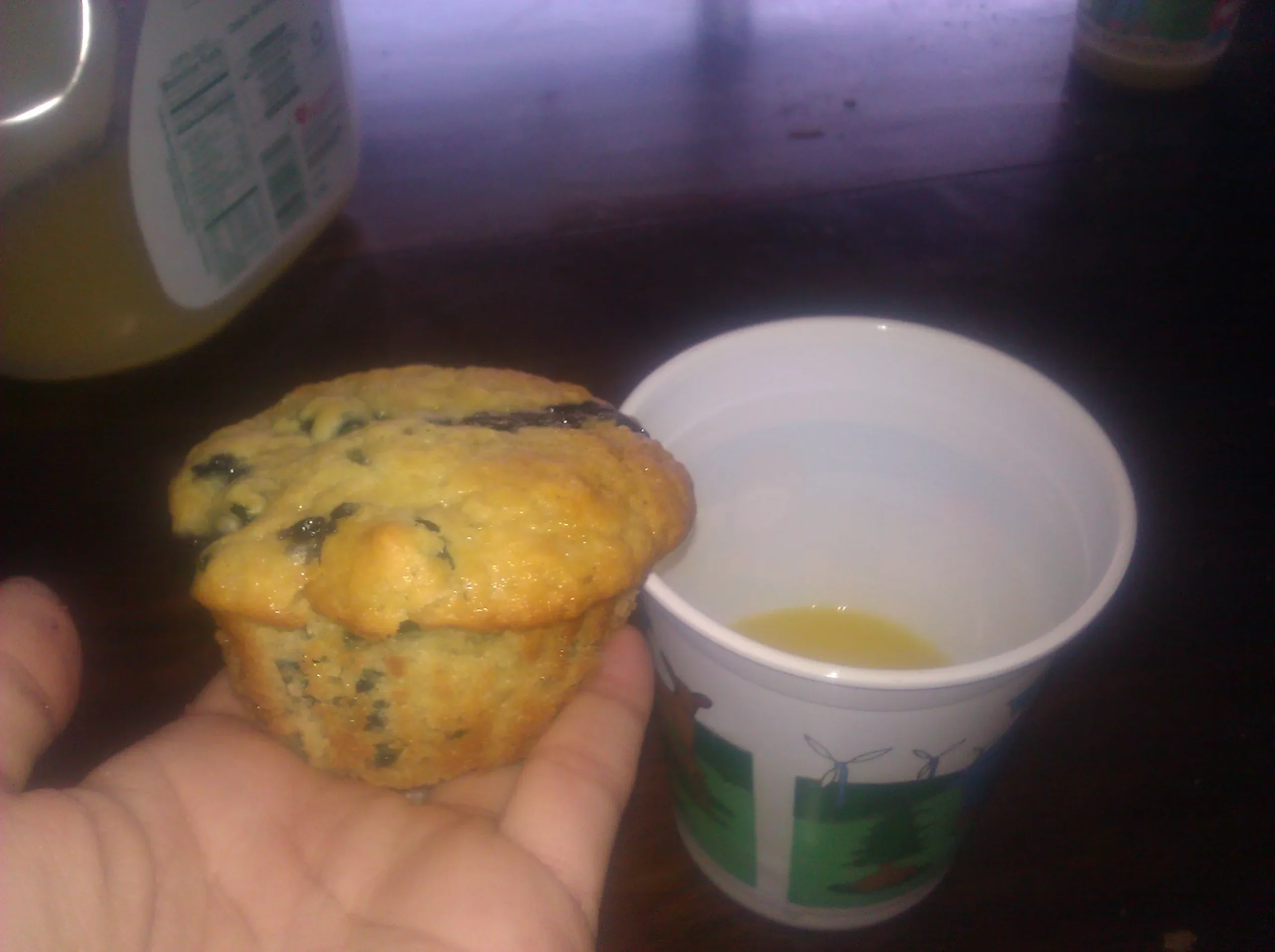 Aunt Evelyn's Blueberry Muffins