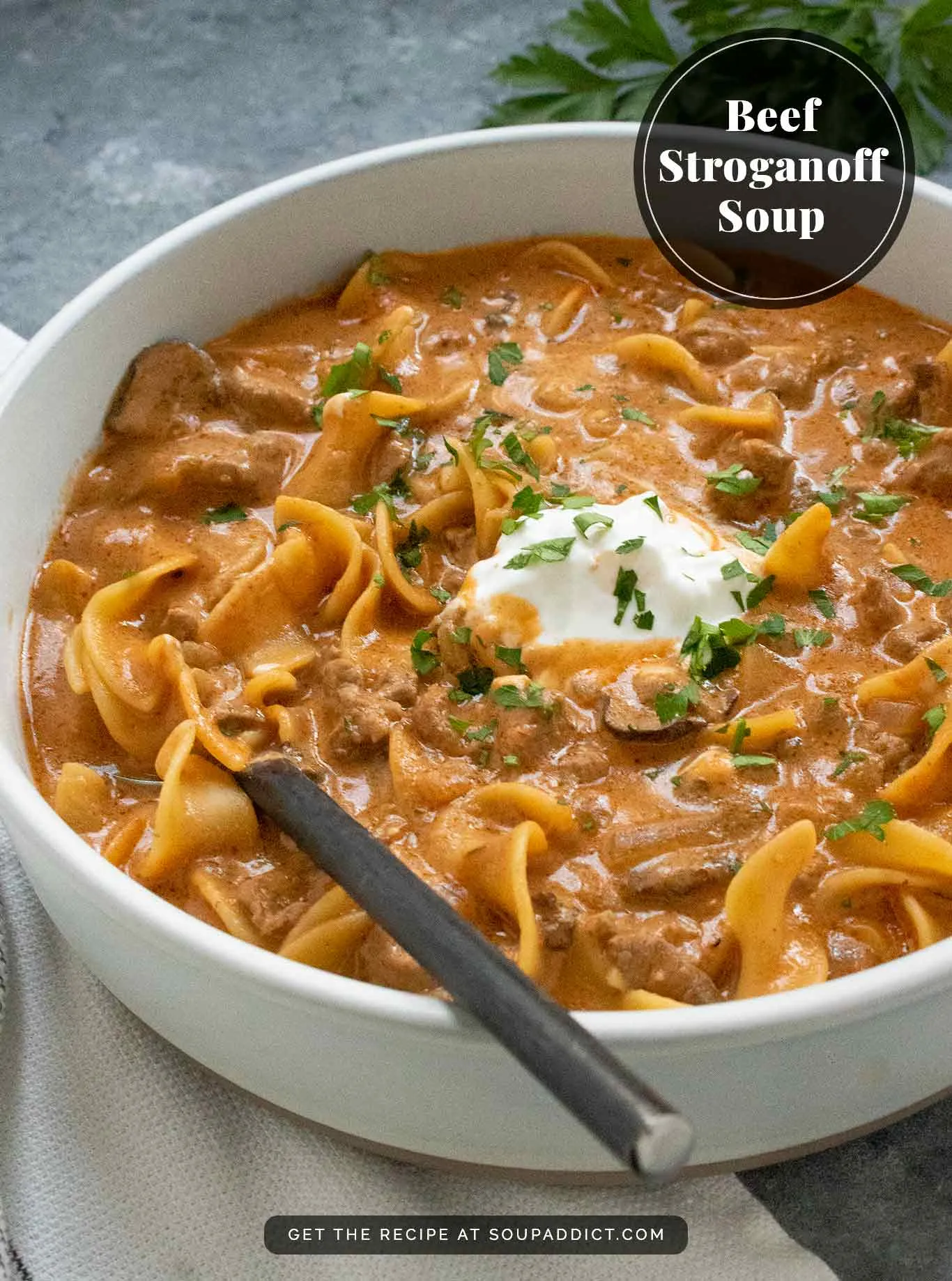 Beef Stroganoff Soup Con