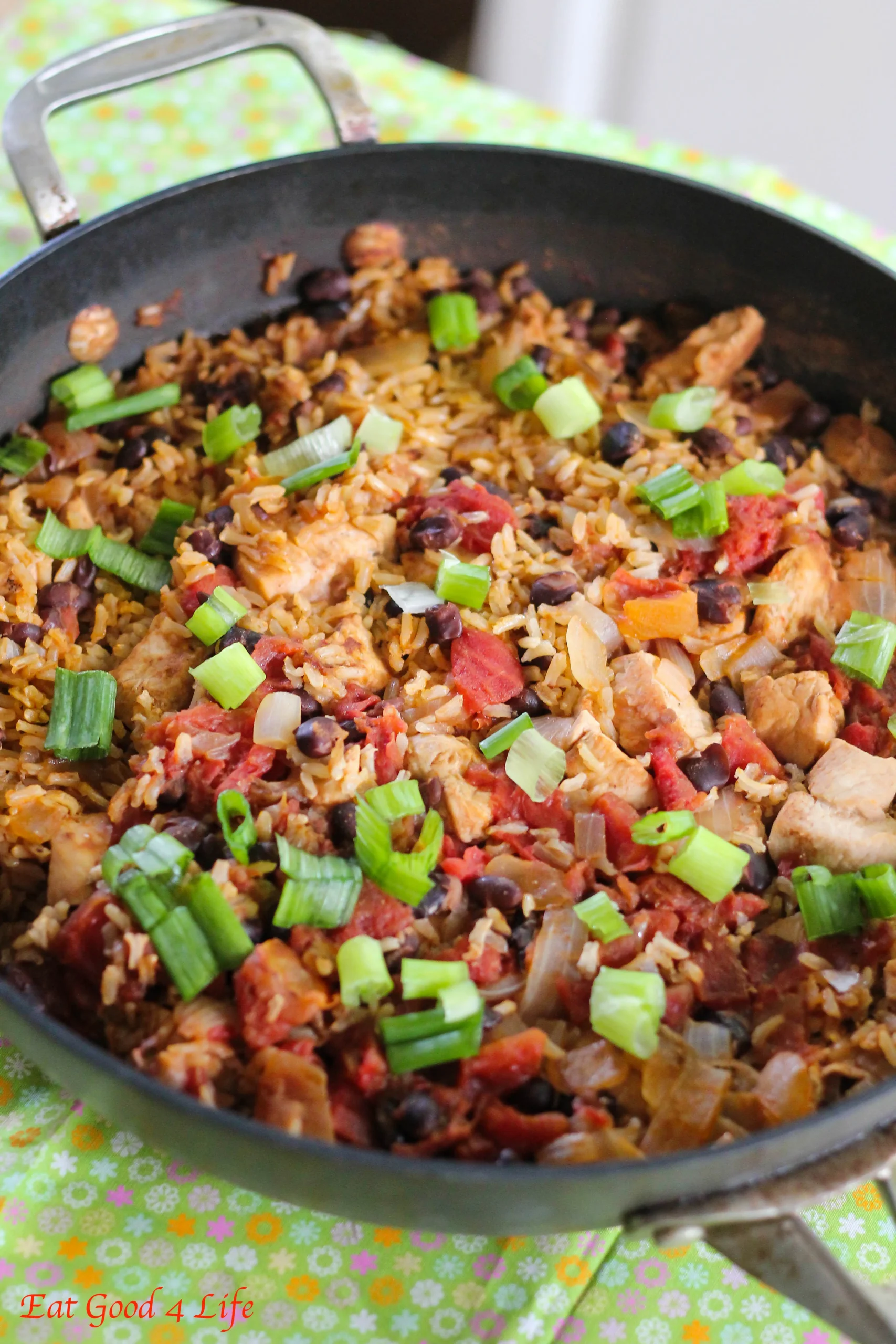 Black Beans Rice with Chicken and Apple Salsa