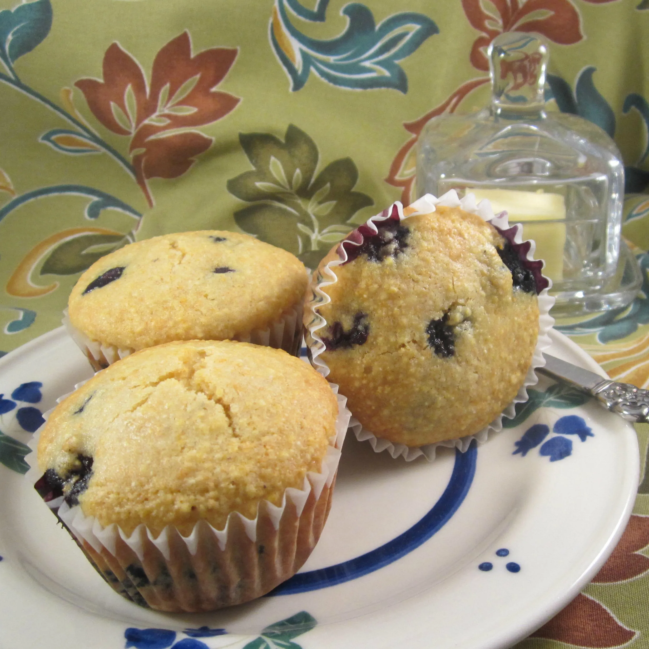 Blue Corn Muffins with Cranberries