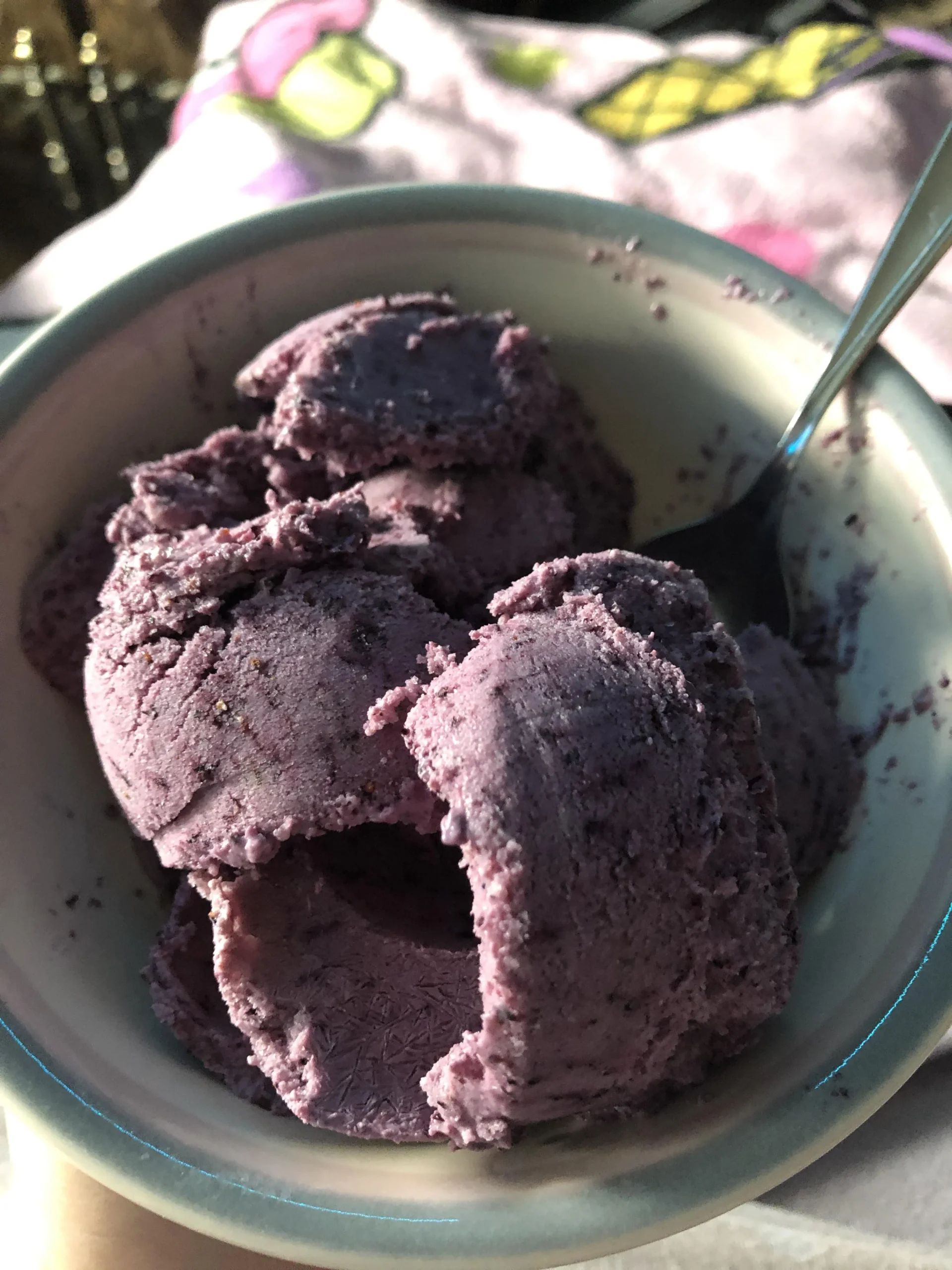 Blueberry Cottage Cheese Ice Cream