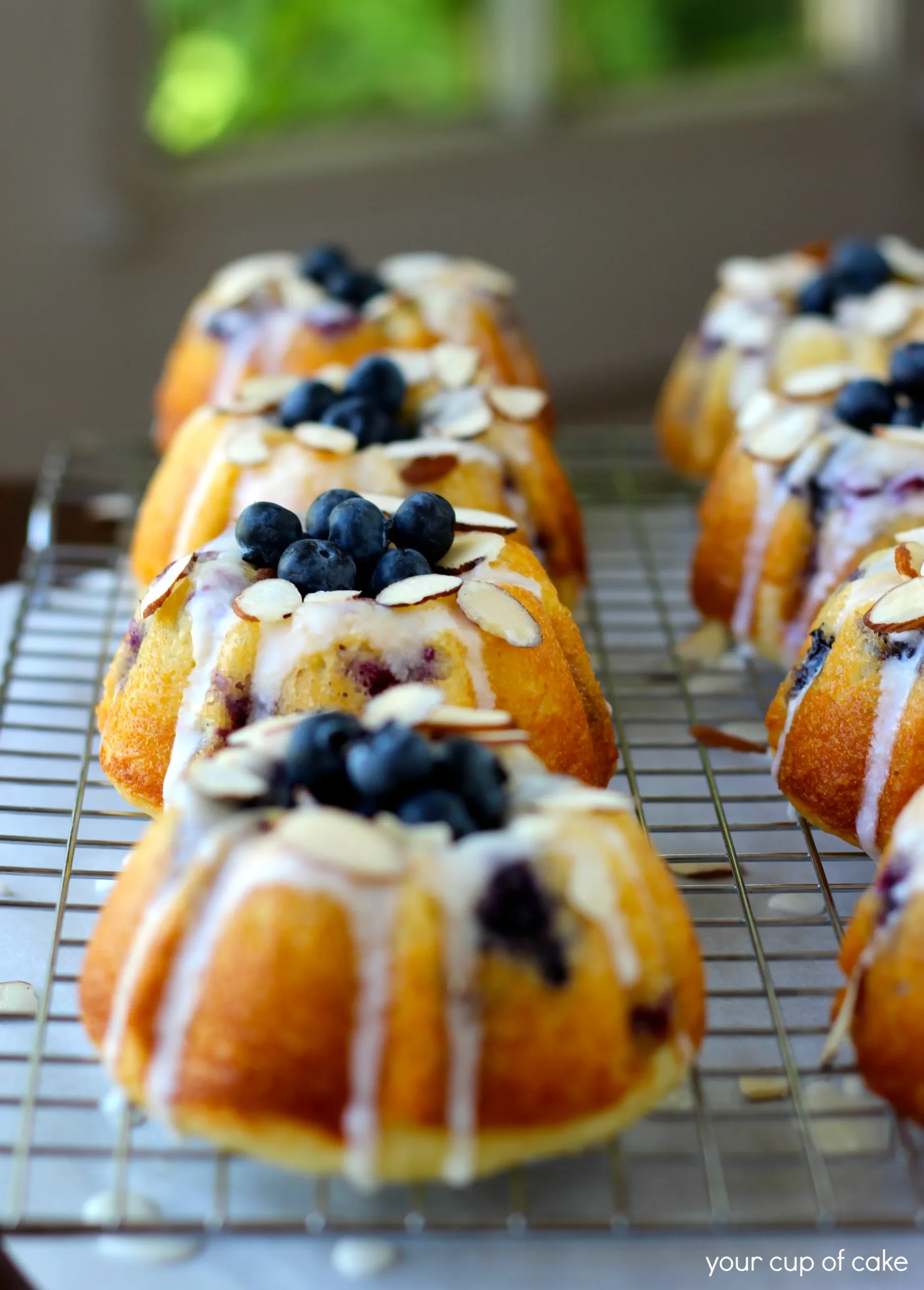 Blueberry Lemon Poppy Seed Almond Cake