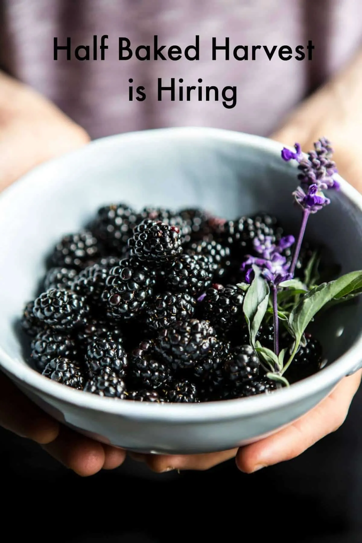 Bonfire Brownies Half Baked Harvest Cookbook Sneak Peak