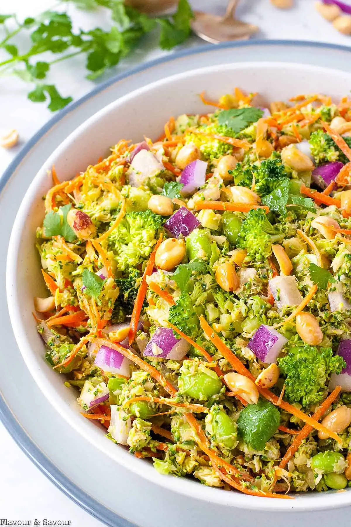 Broccoli Salad with Peanut Vinaigrette