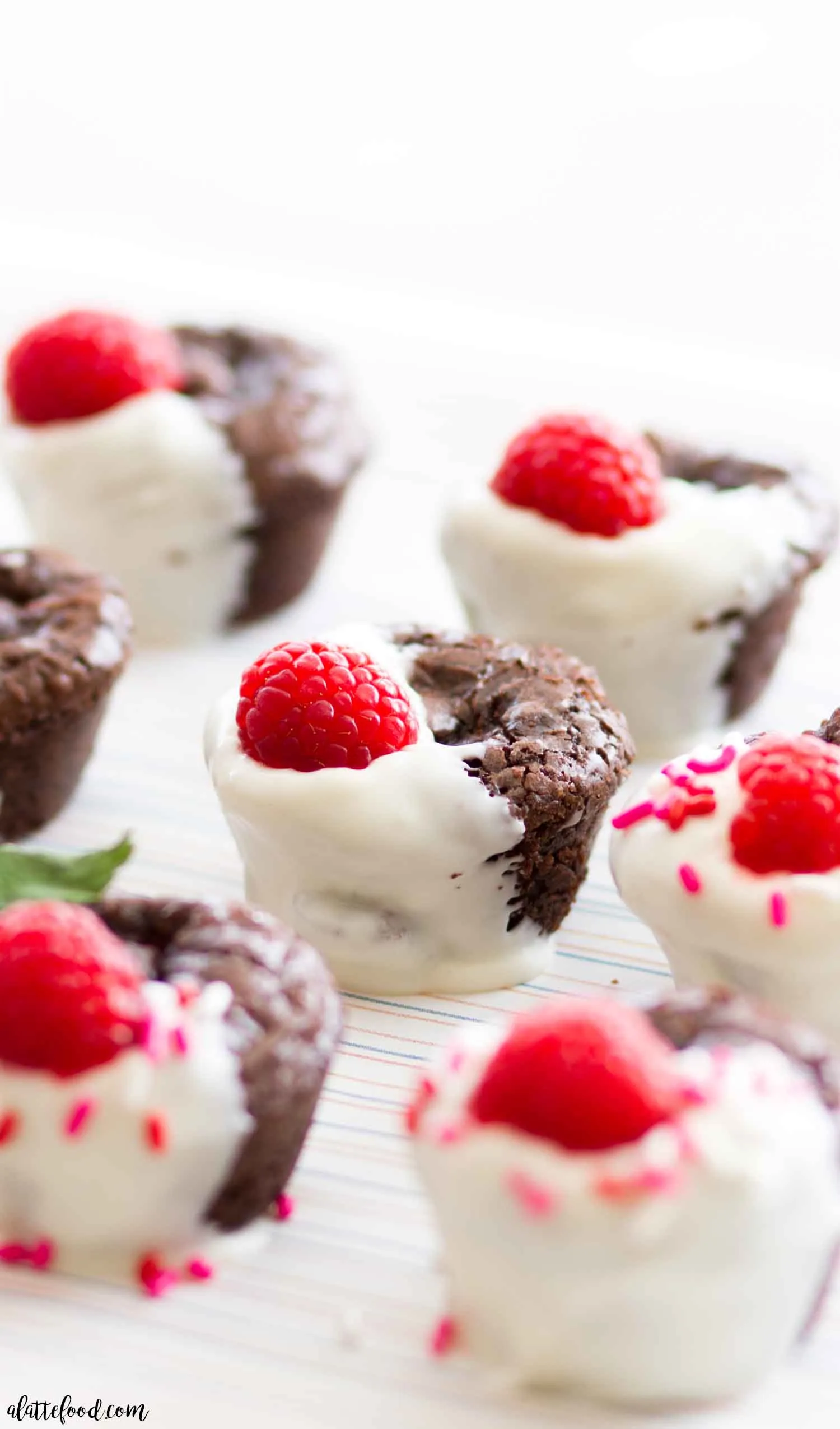 Brownie with White Chocolate Raspberry Orb