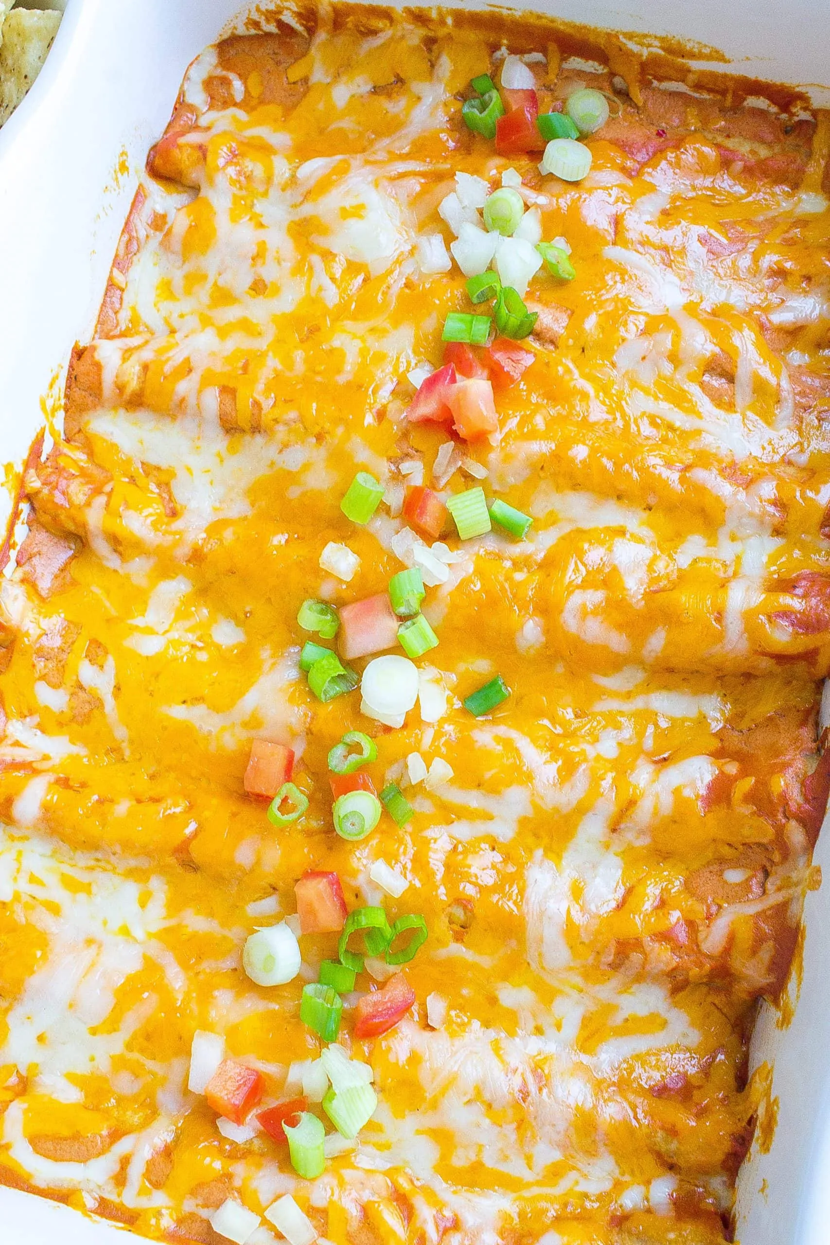 Cheese Enchiladas with Sauce