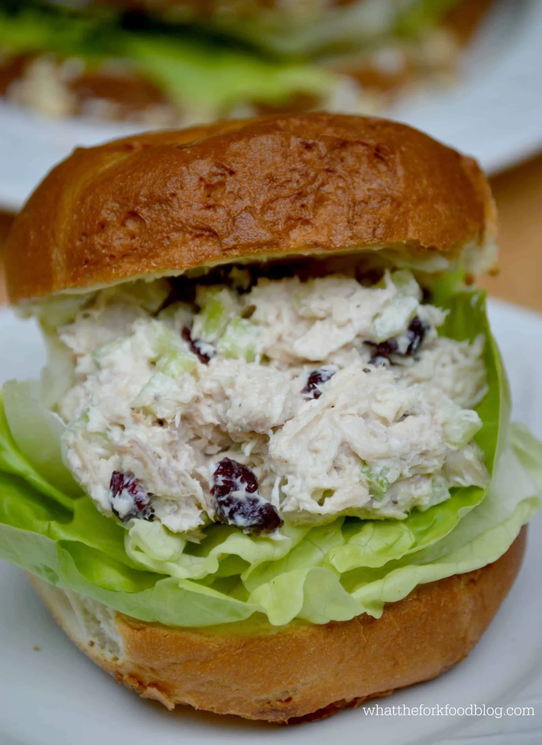 Cherry Craisin Chicken Salad
