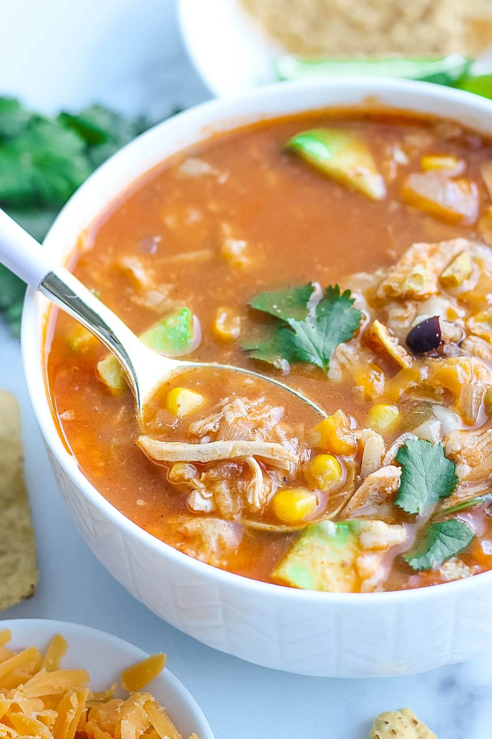 Chicken Tortilla Soup with Salsa and Homemade Tortillas
