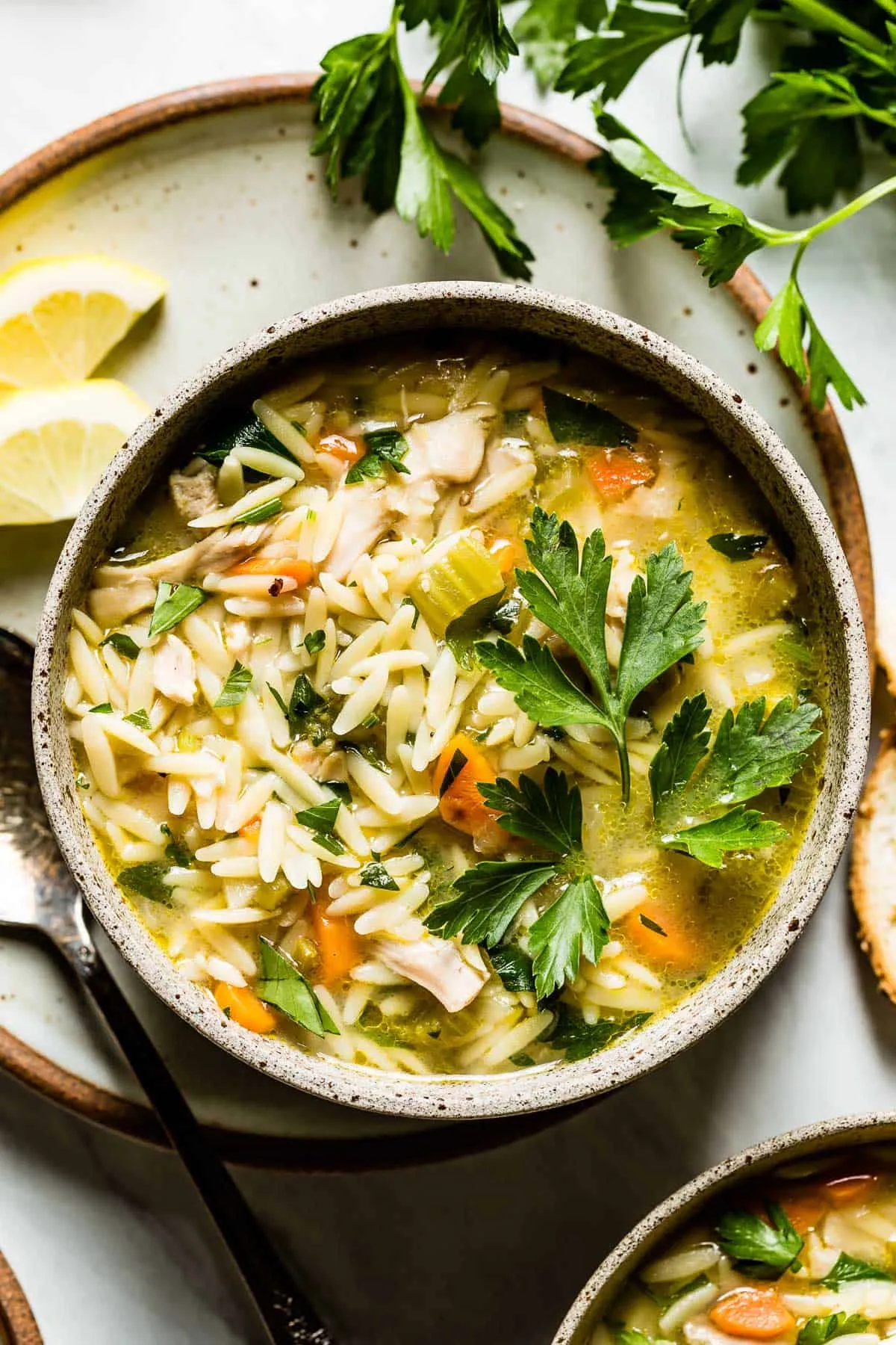 Chicken Vegetable Orzo Soup