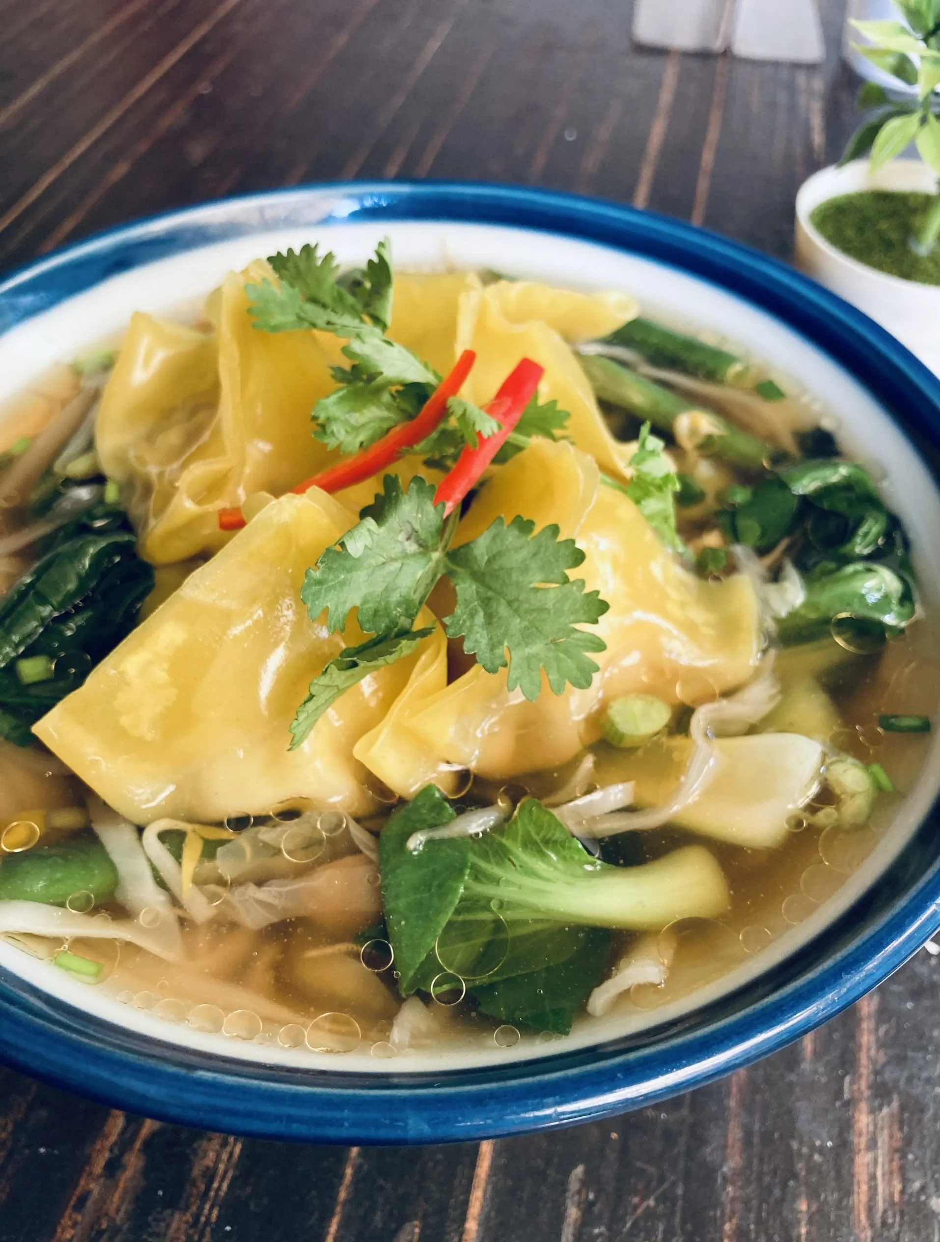 Chicken Wonton Noodle Soup