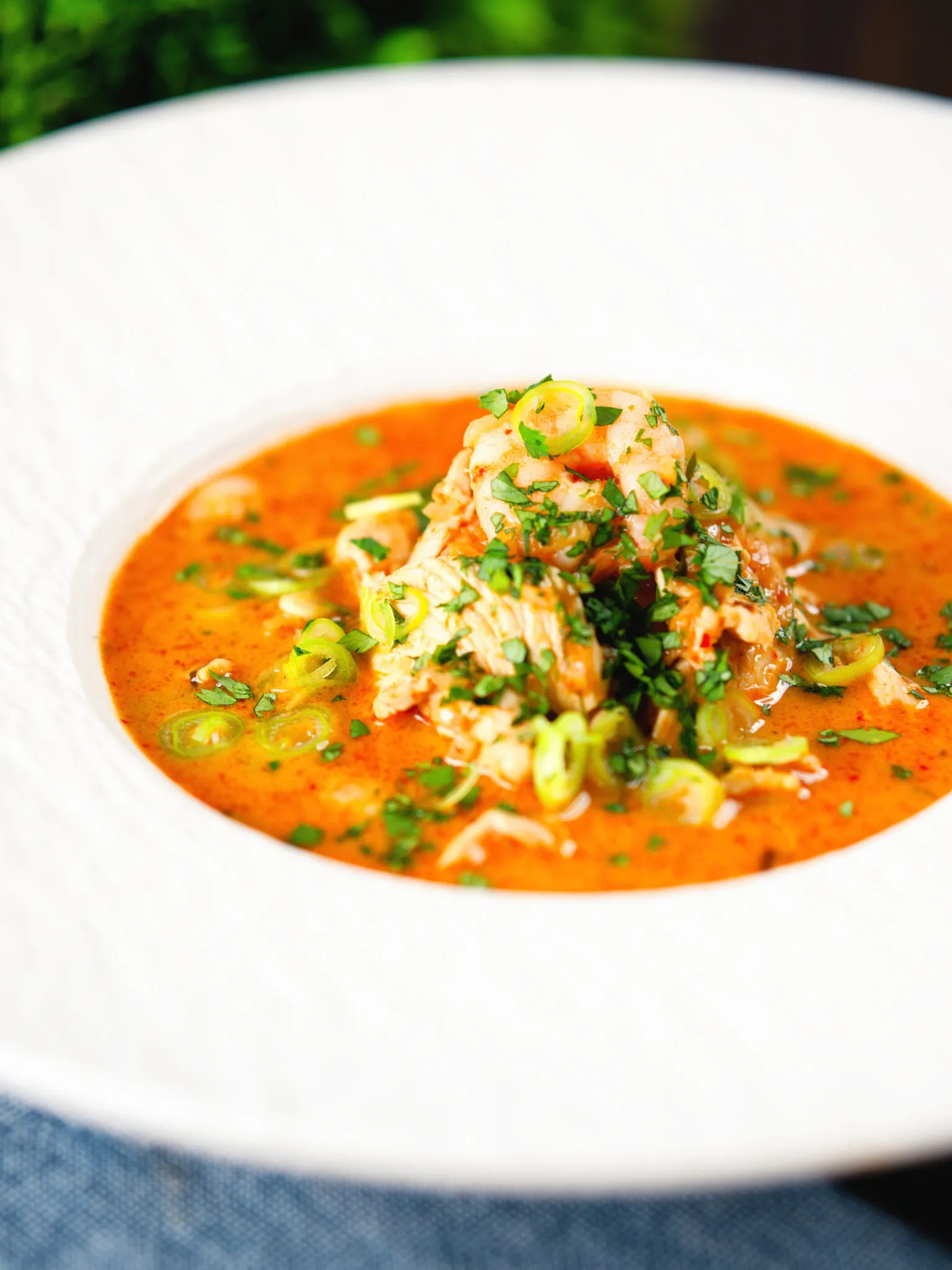 Chicken and Prawn Soup