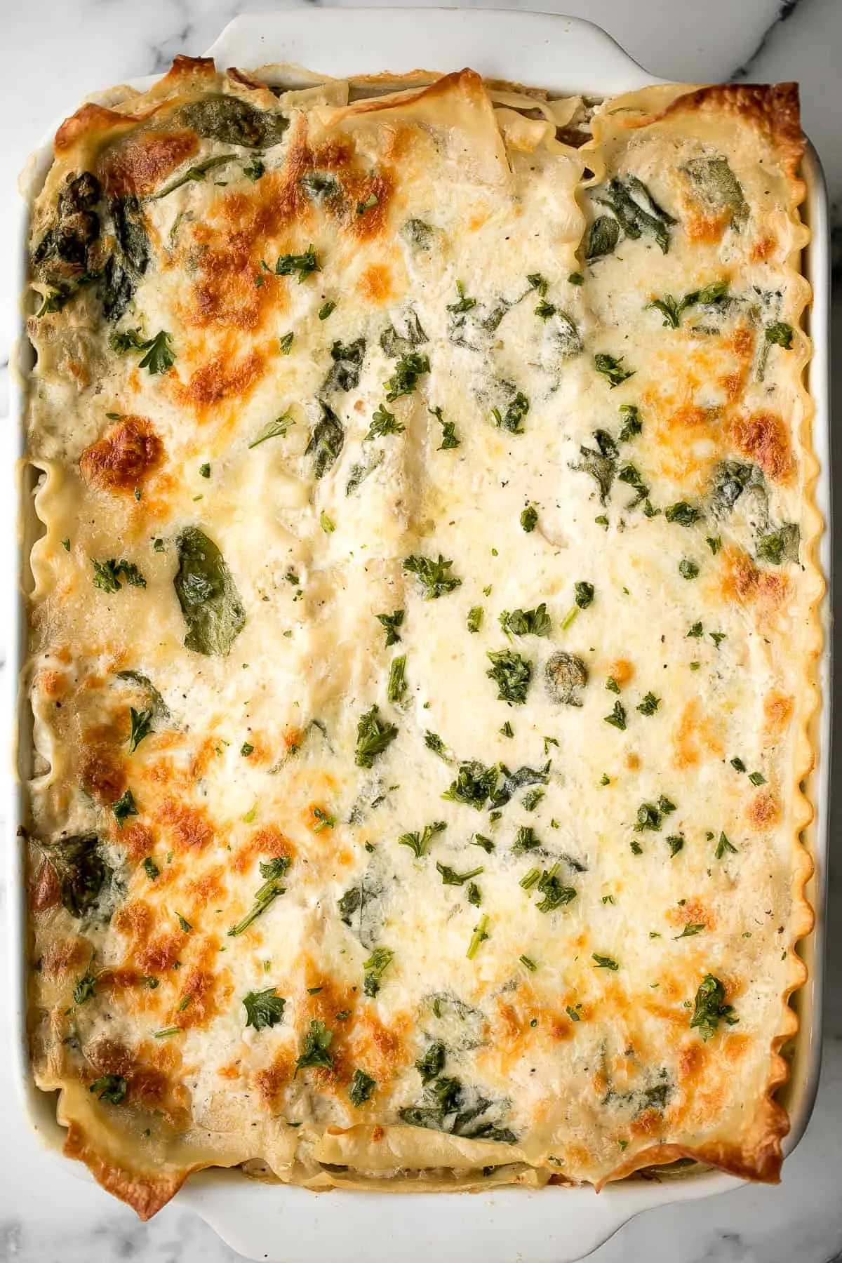 Chicken and Spinach Lasagna