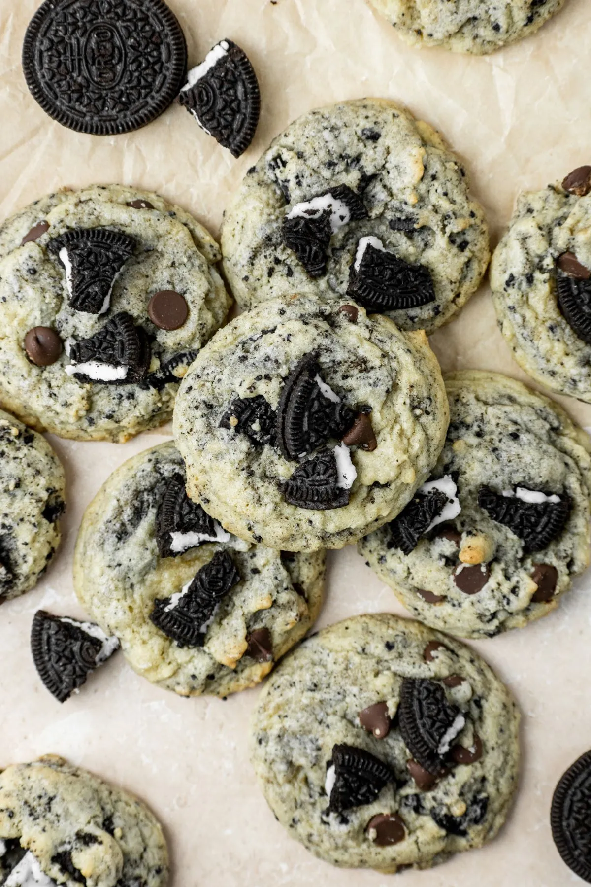 Chocolate Chip Oreo Cookie