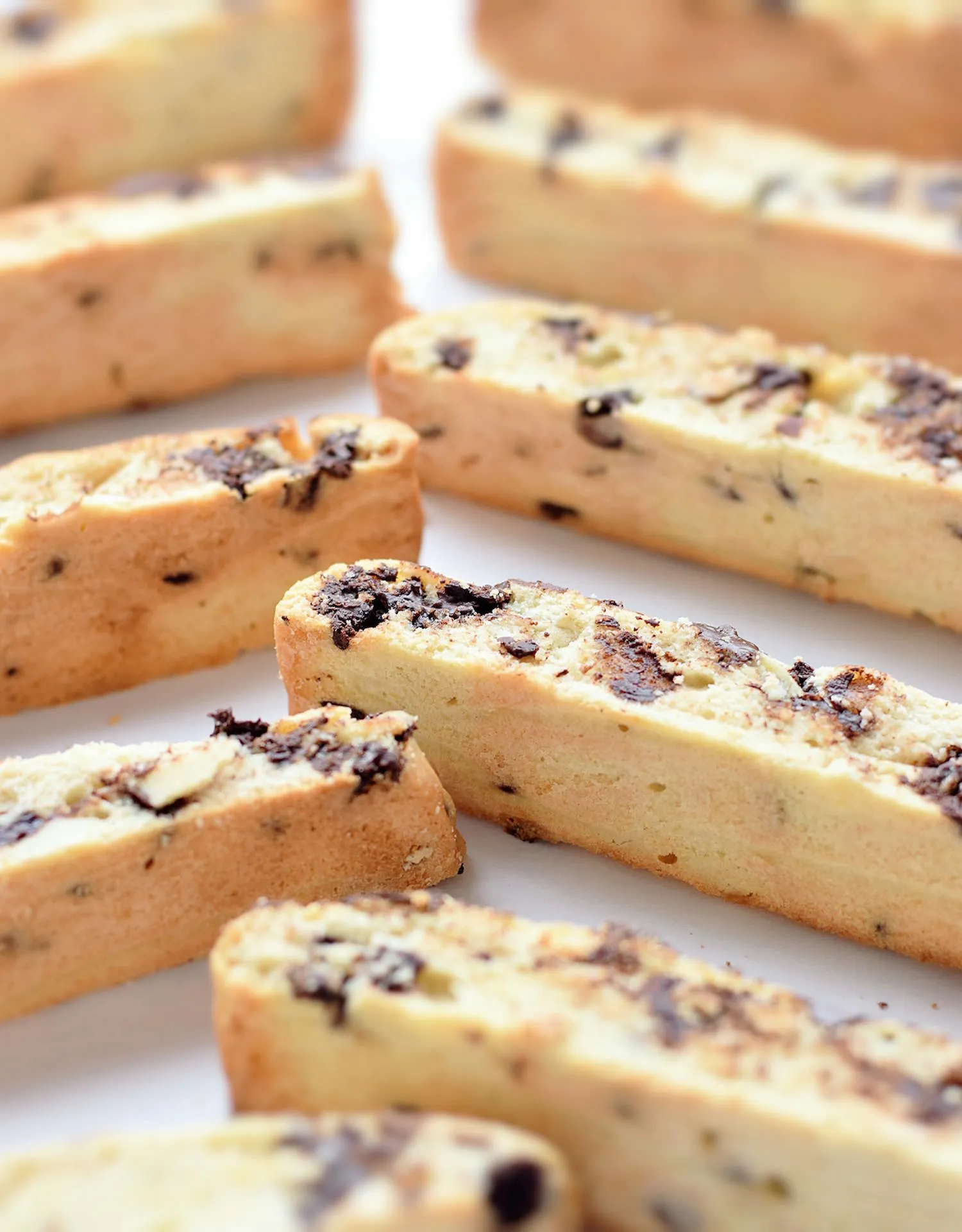 Chocolate Chip and Almond Biscotti