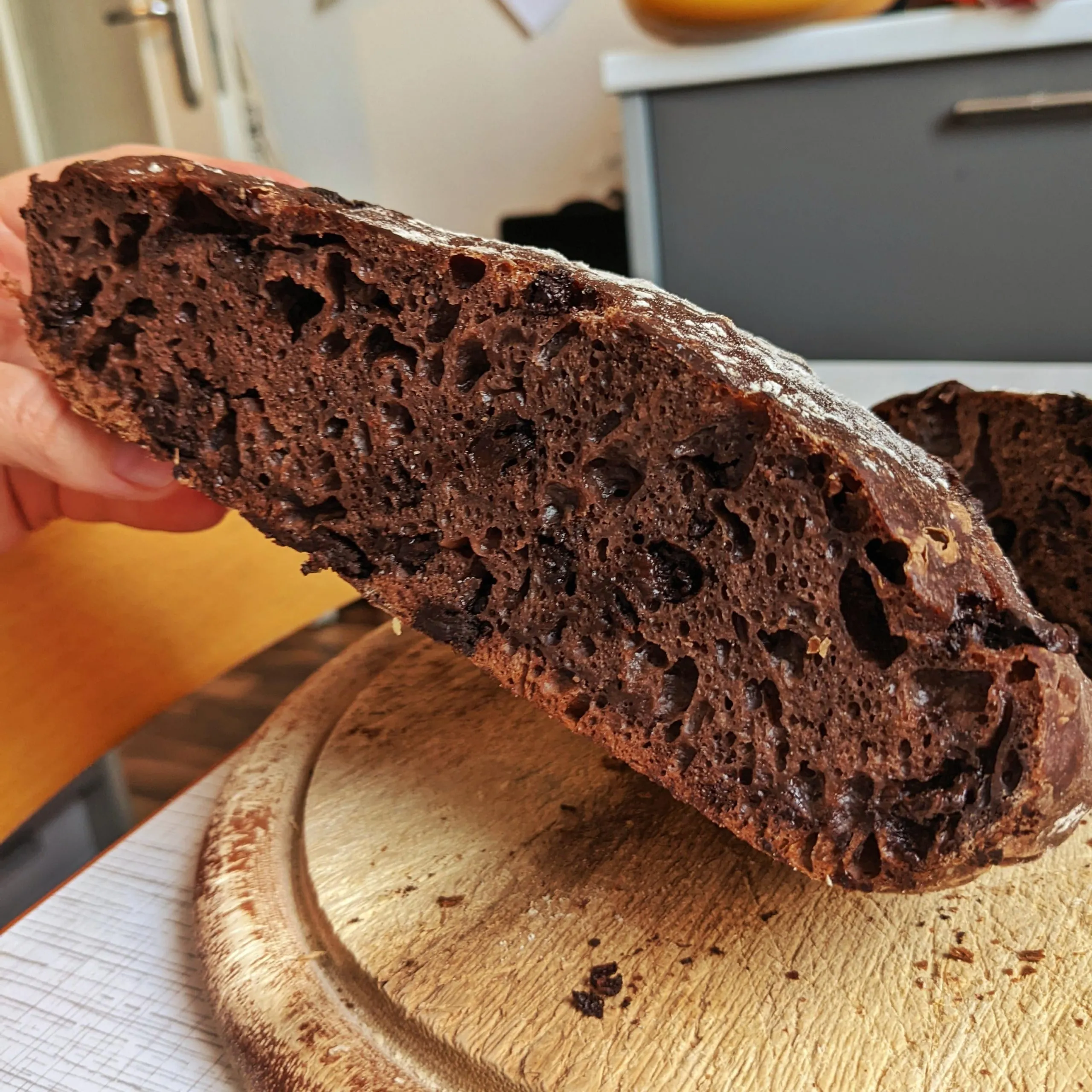 Chocolate No Knead Bread