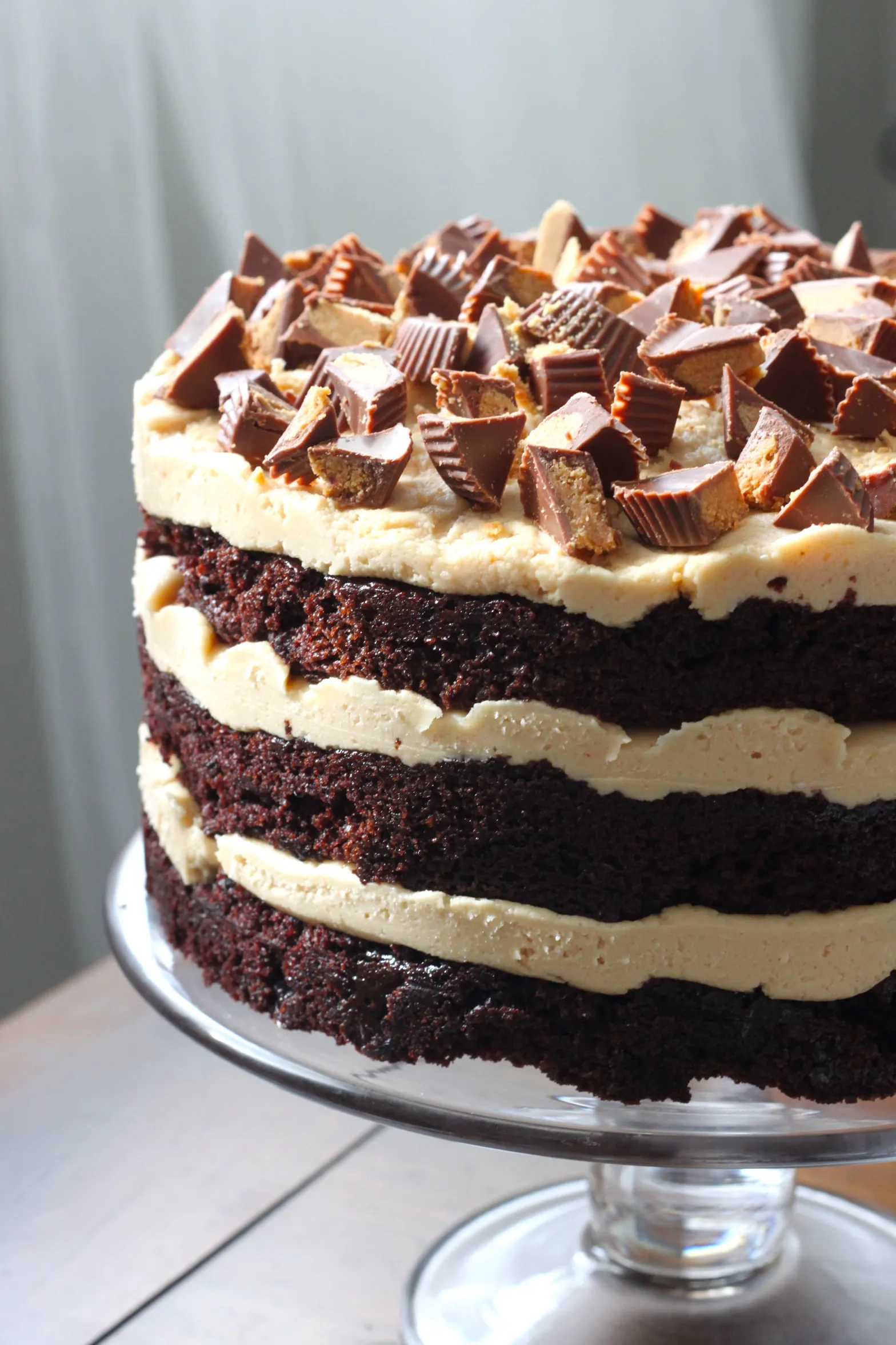 Chocolate Peanut Butter Cake