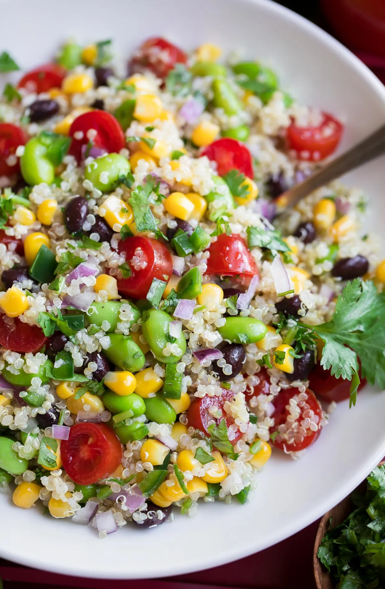 Cilantro Lime Black Bean Quinoa Salad