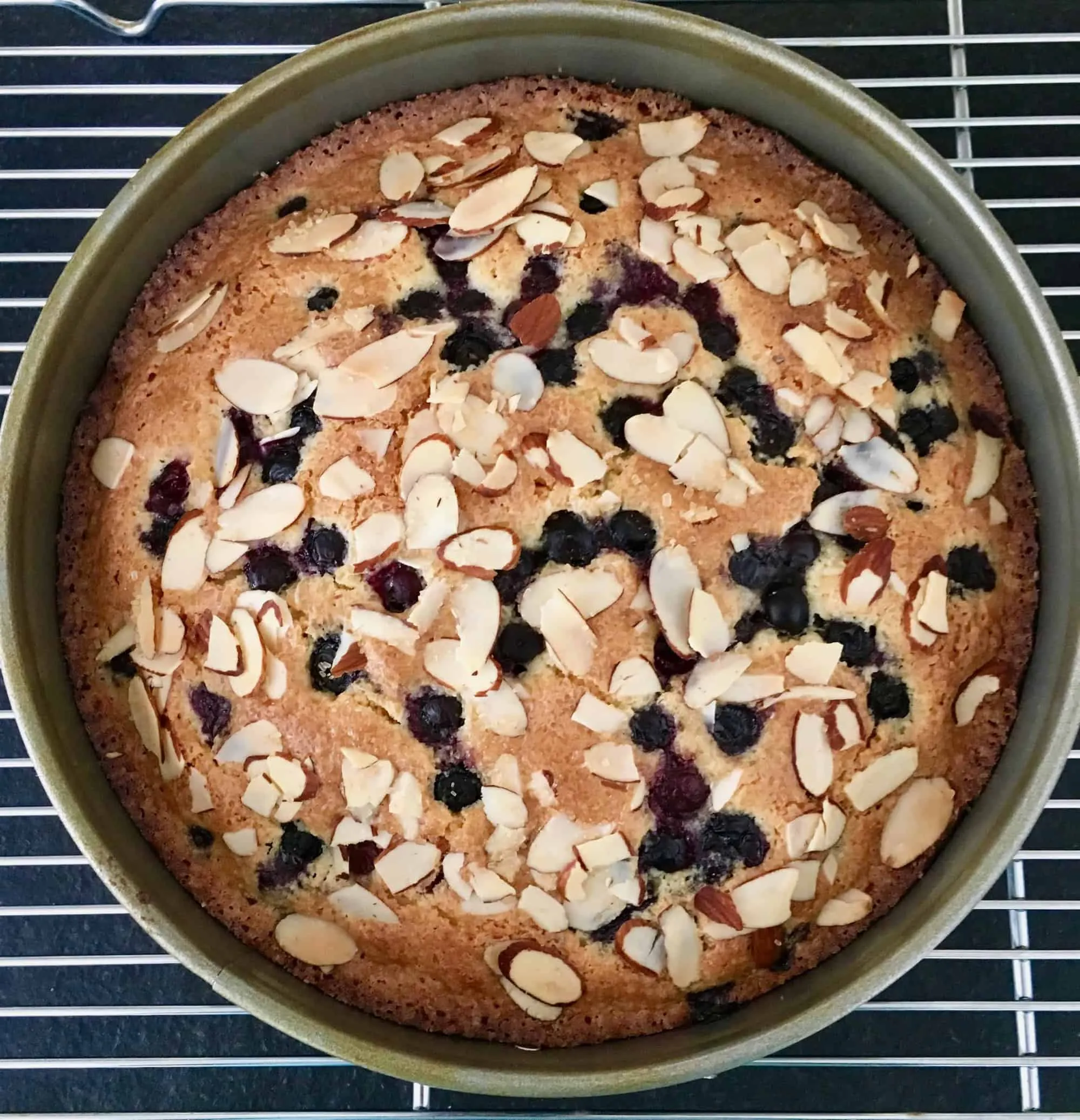Coconut Almond Blueberry Cake