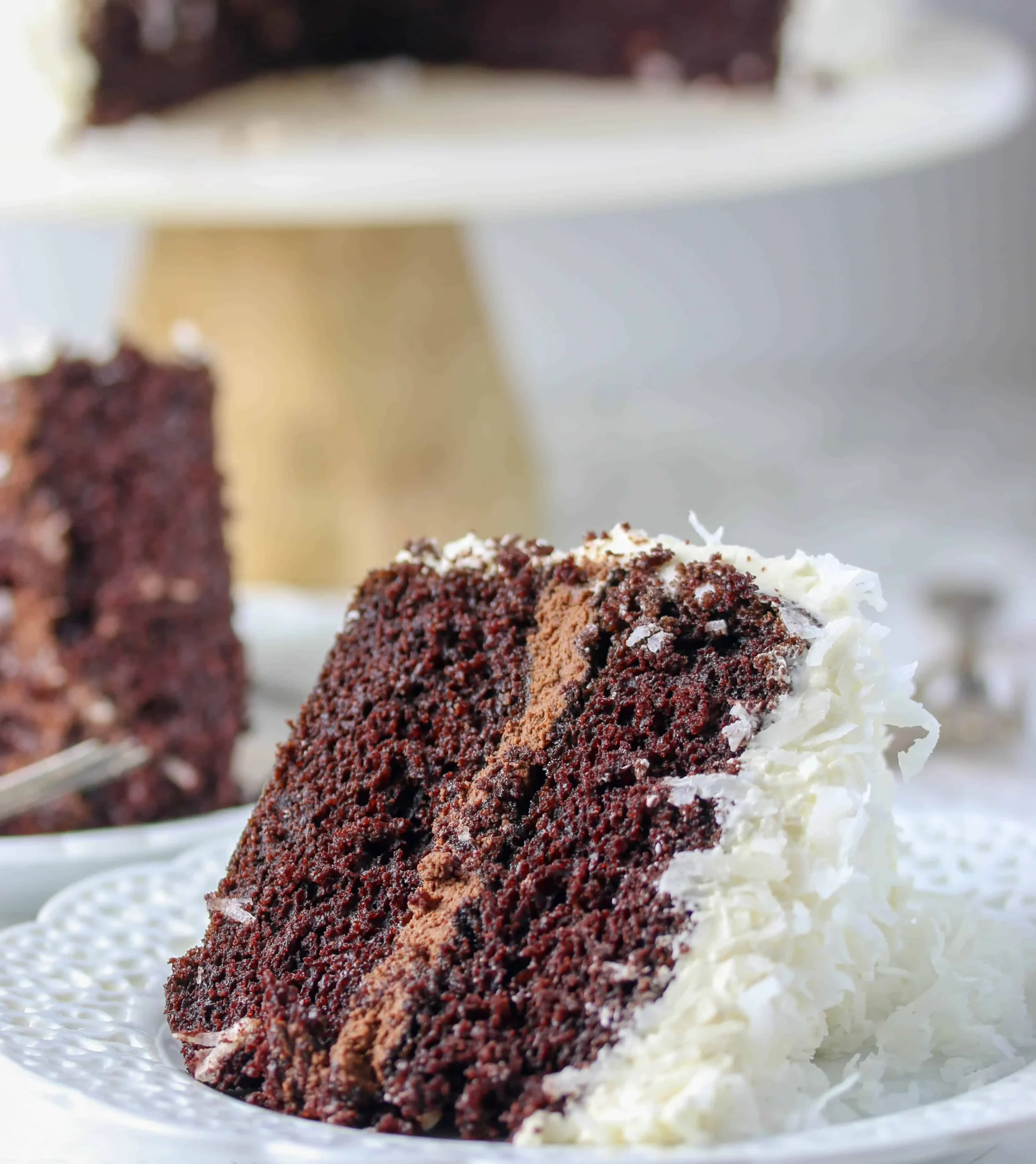 Coconut Chocolate Delight Cake