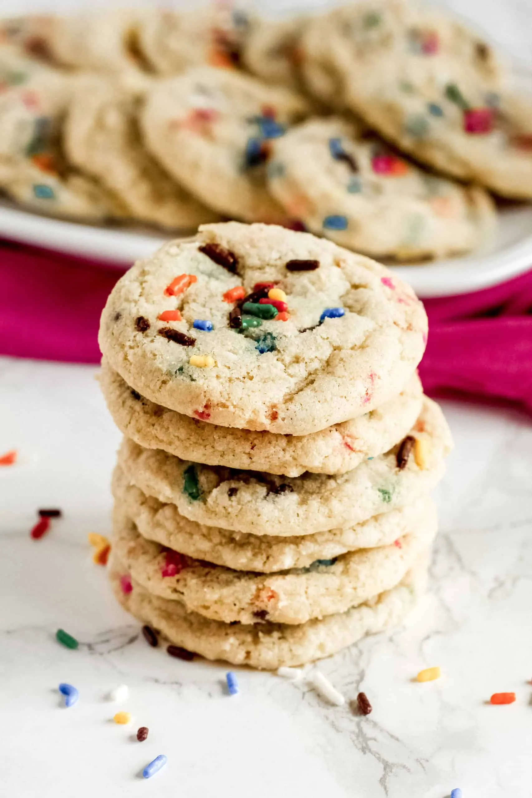 Coconut Flour Funfetti Cookies (Gluten and Dairy Free)