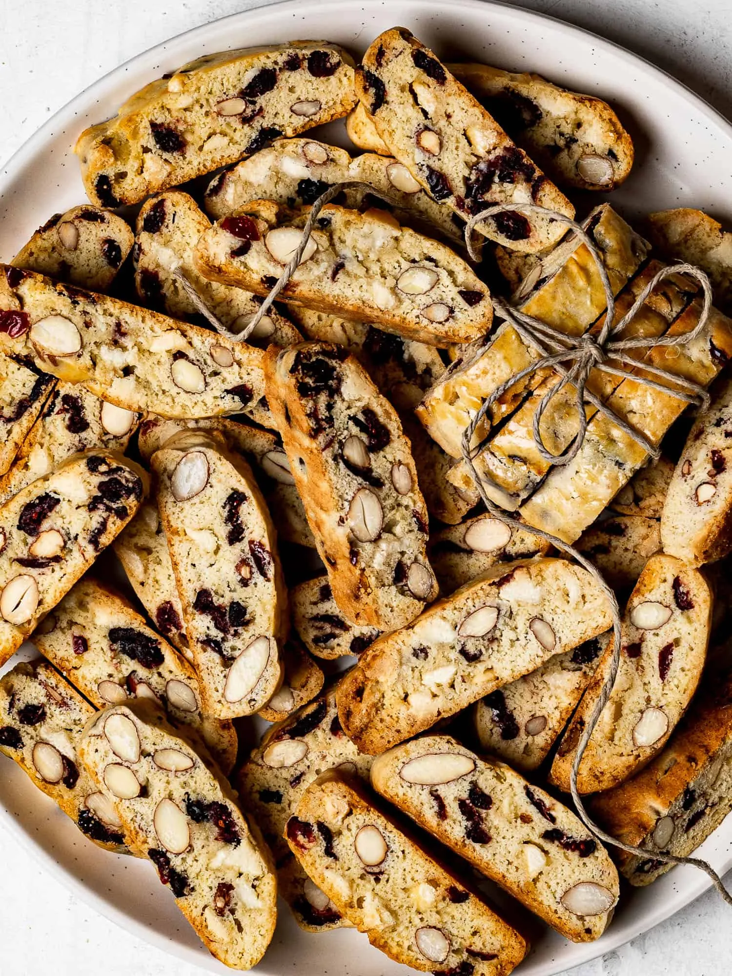 Cranberry Chocolate Chip Biscotti