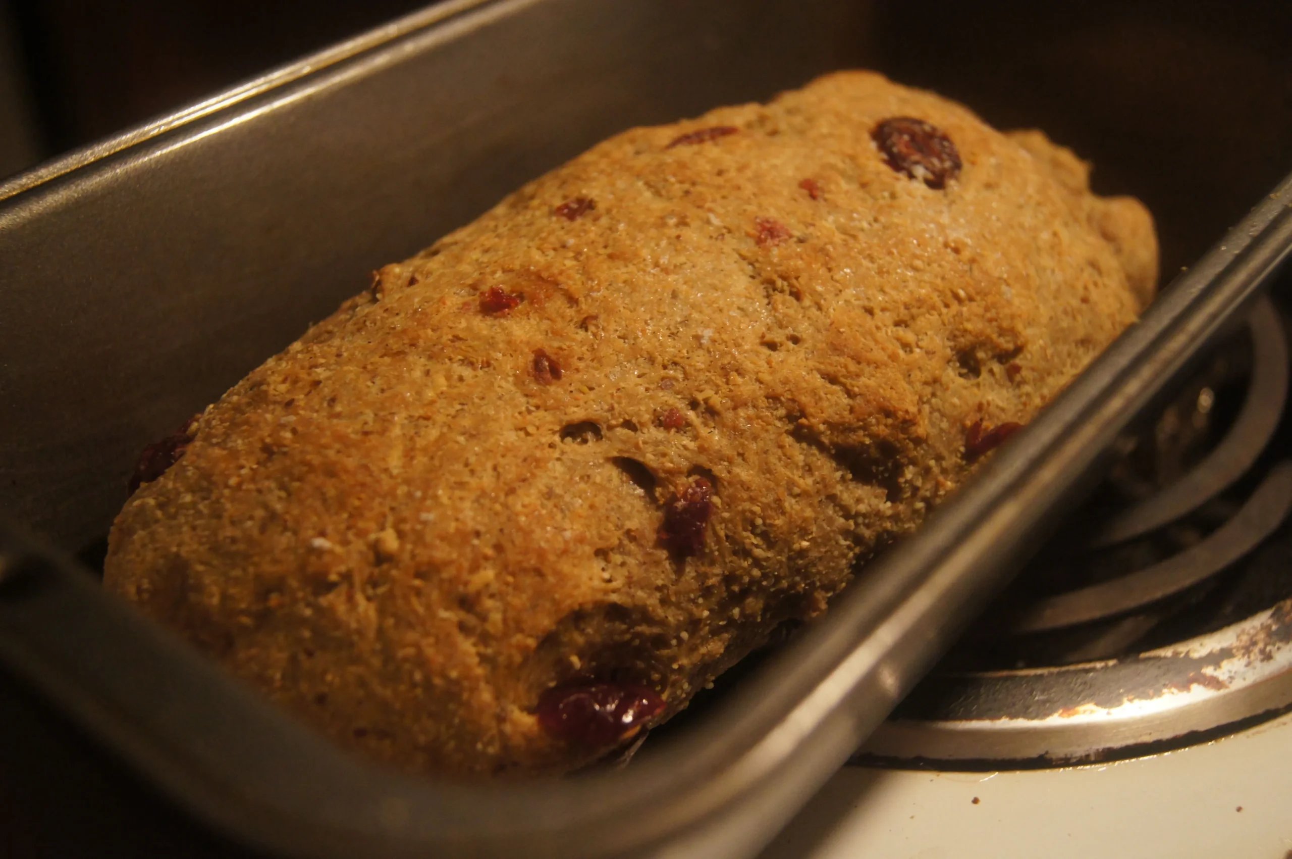 Cranberry Cinnamon Bread ABM
