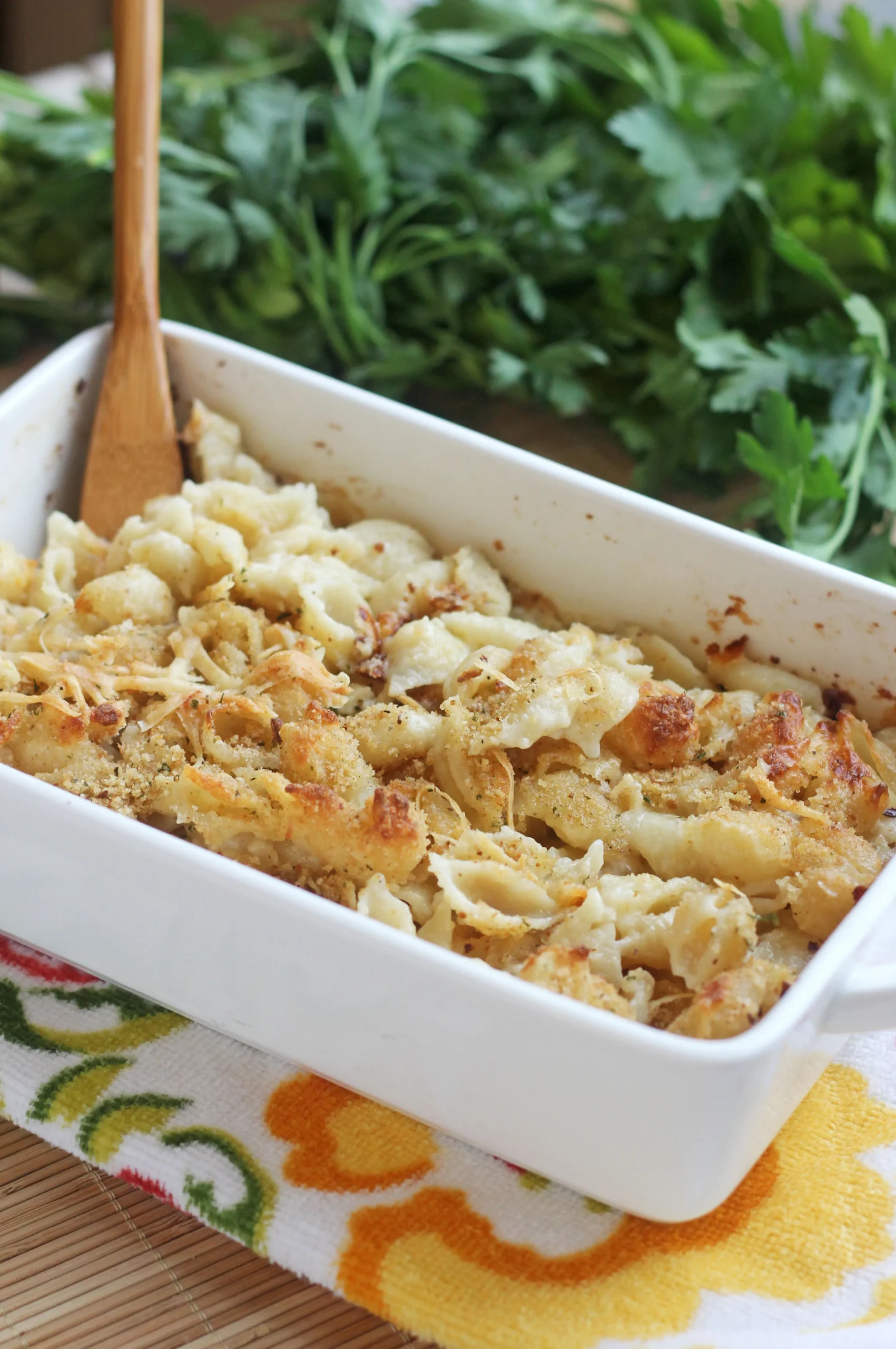 Creamy Four Cheese Pasta