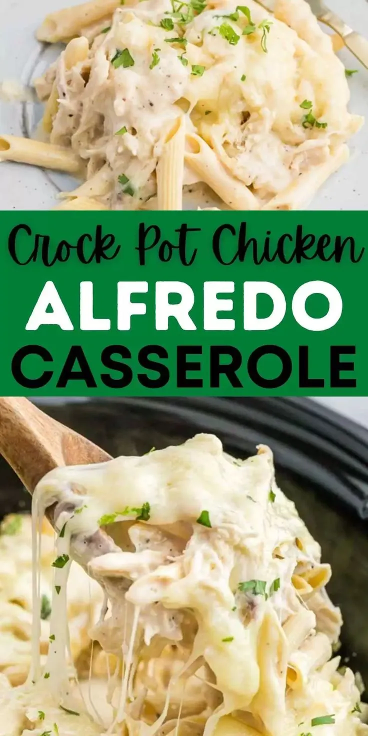 Crock Pot Chicken Alfredo Casserole