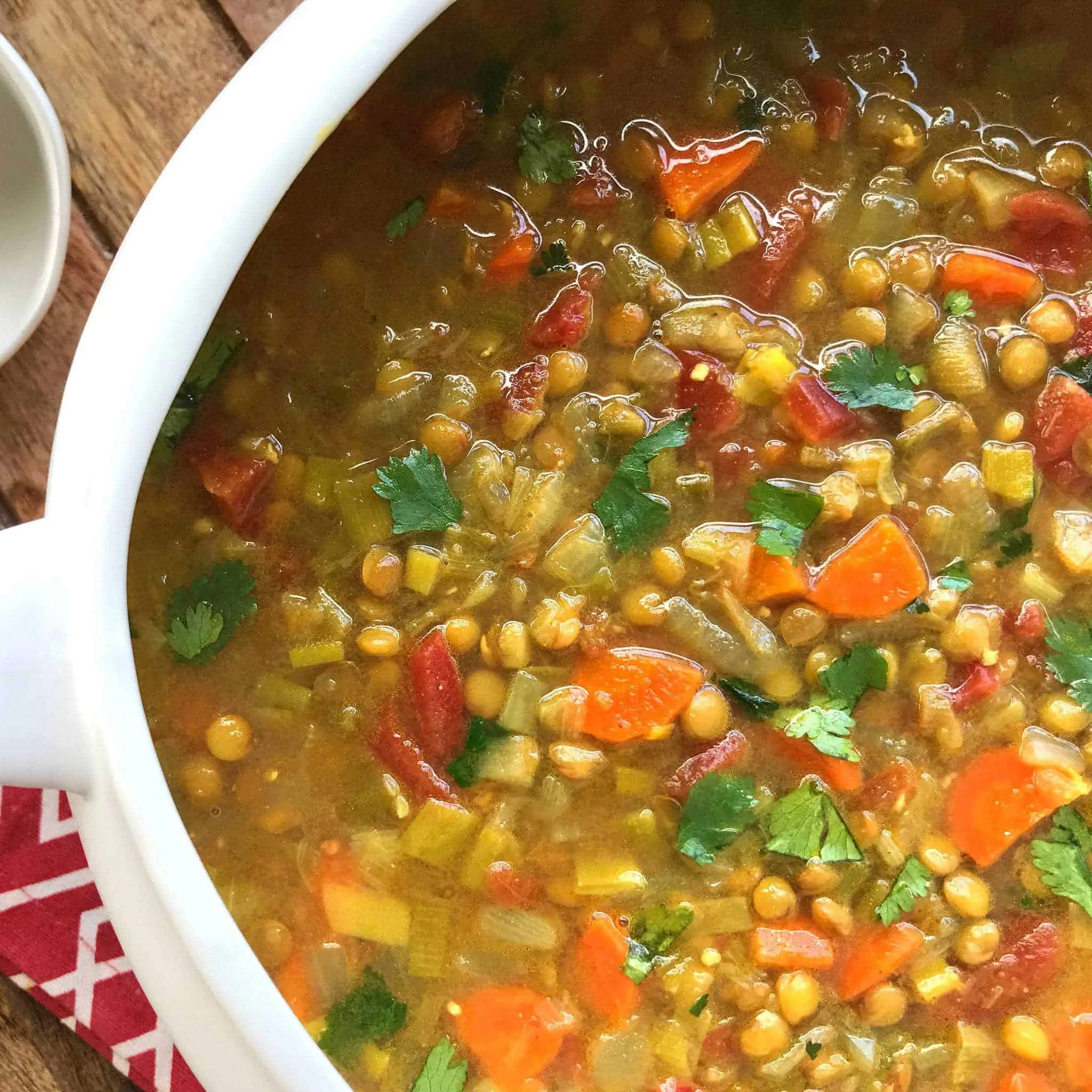 Curried Chickpea Lentil Soup