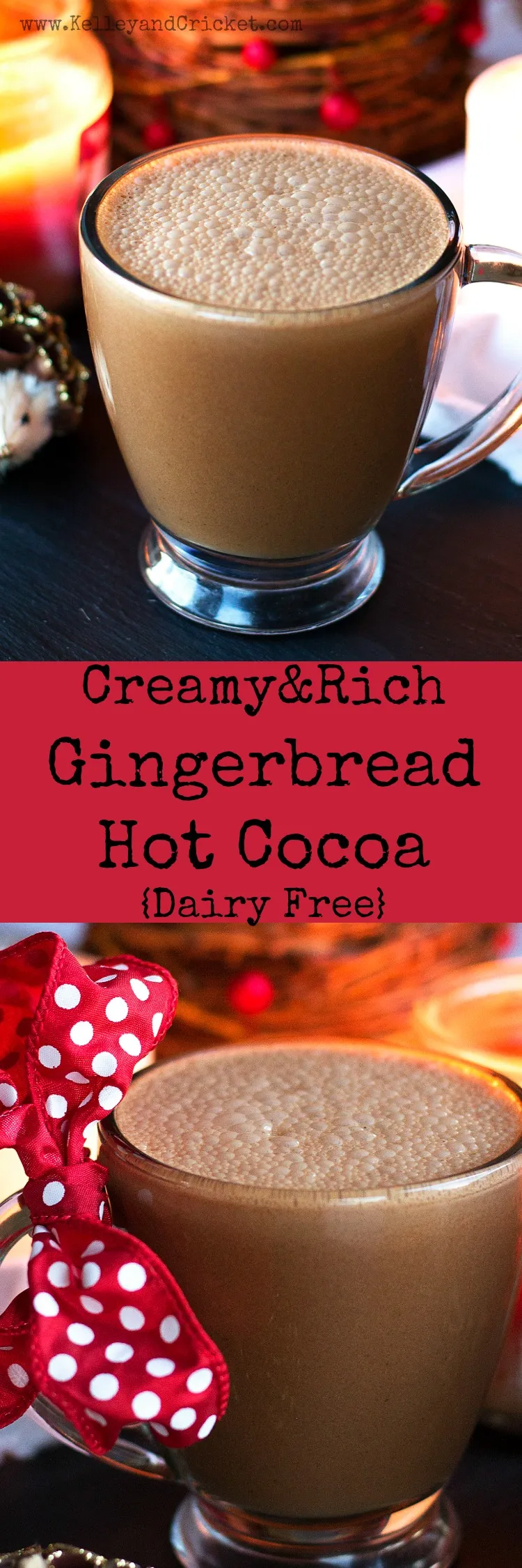 Dairy Free Gingerbread Hot Cocoa