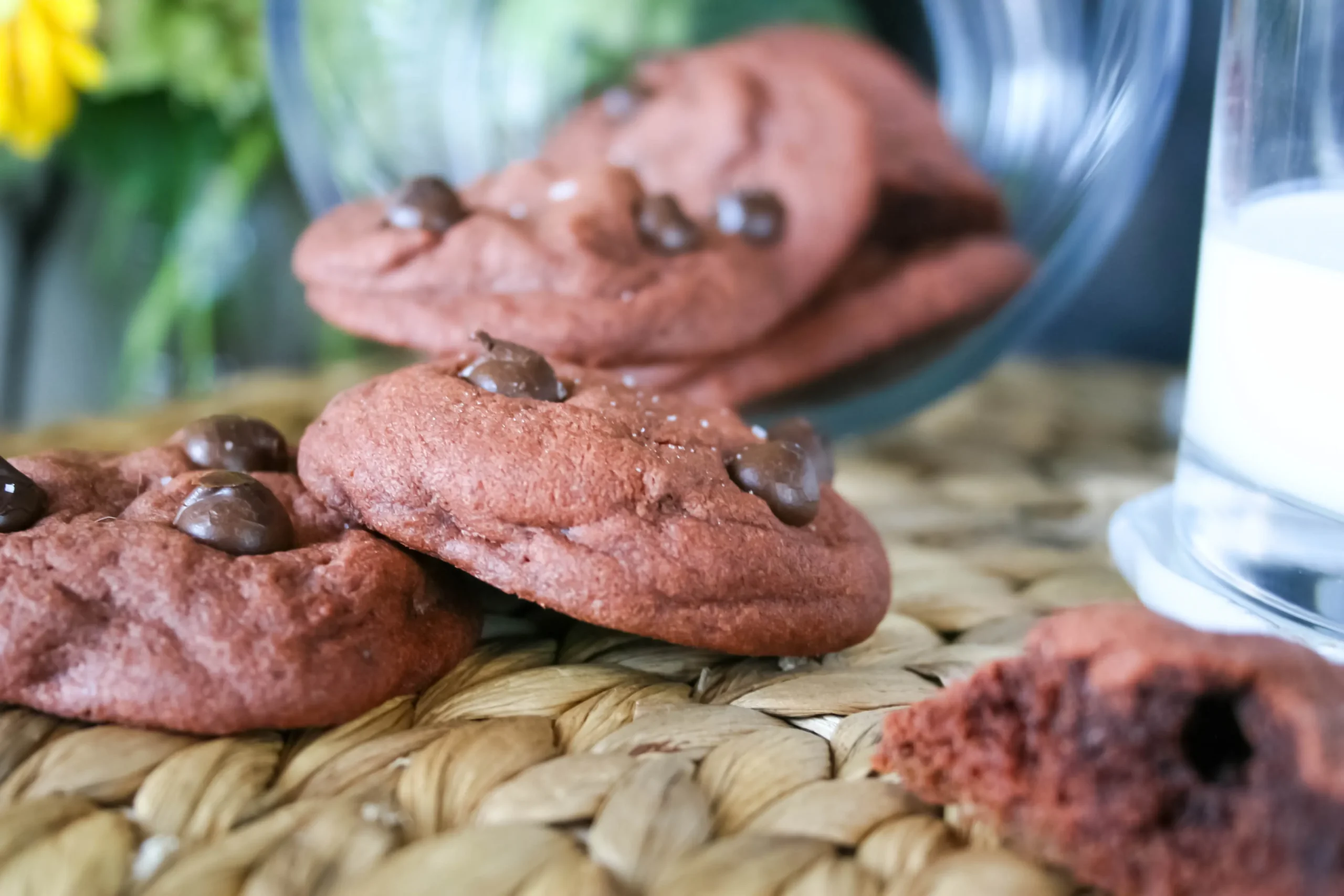 Devil's Food Chocolate Chip Pudding Cookies