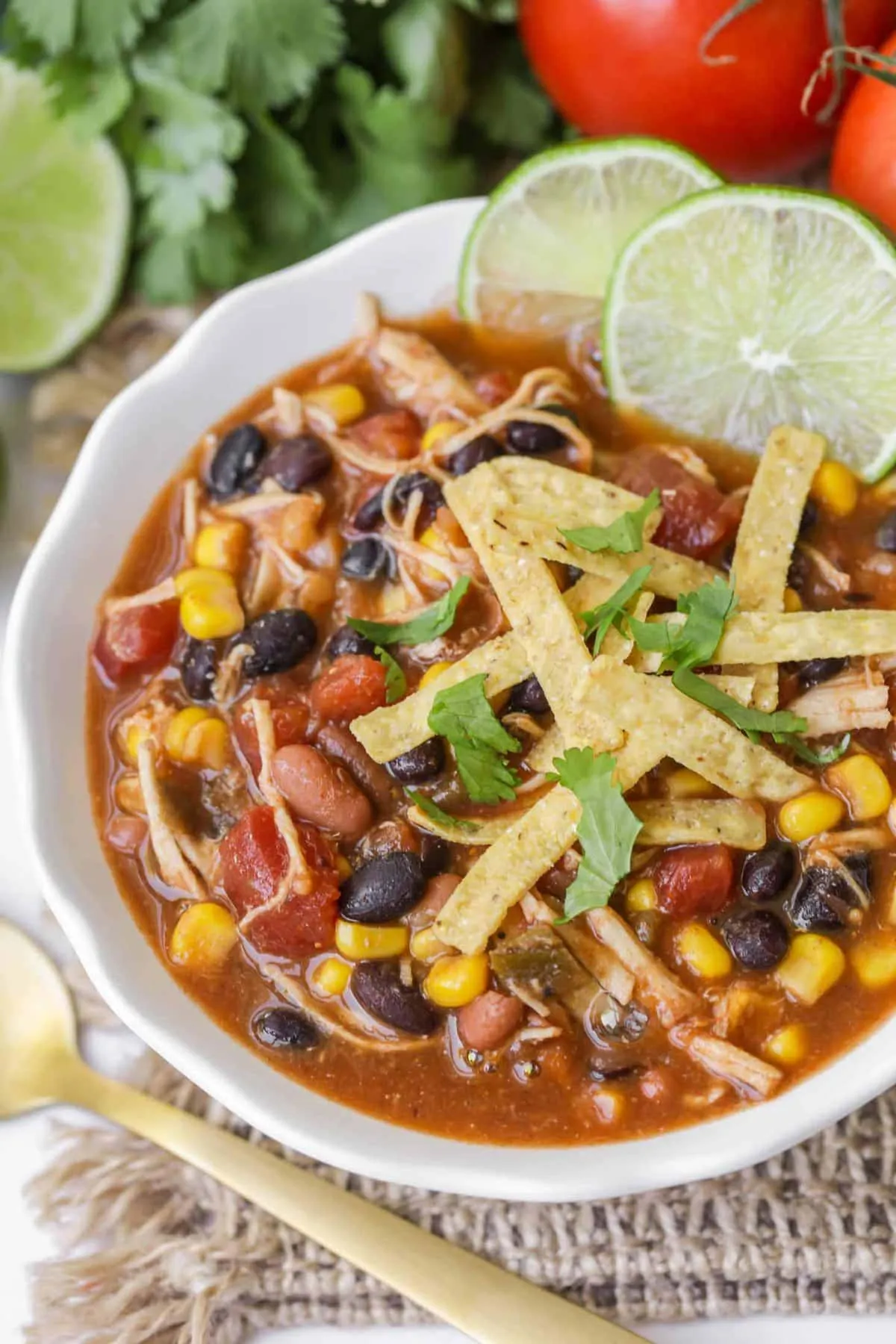 Easy Southwest Chicken Taco Soup