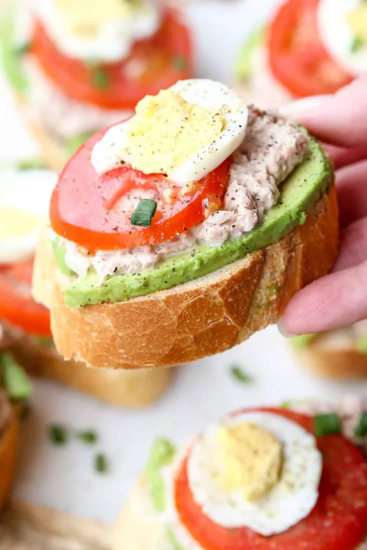 Egg Avocado Tuna Sandwich