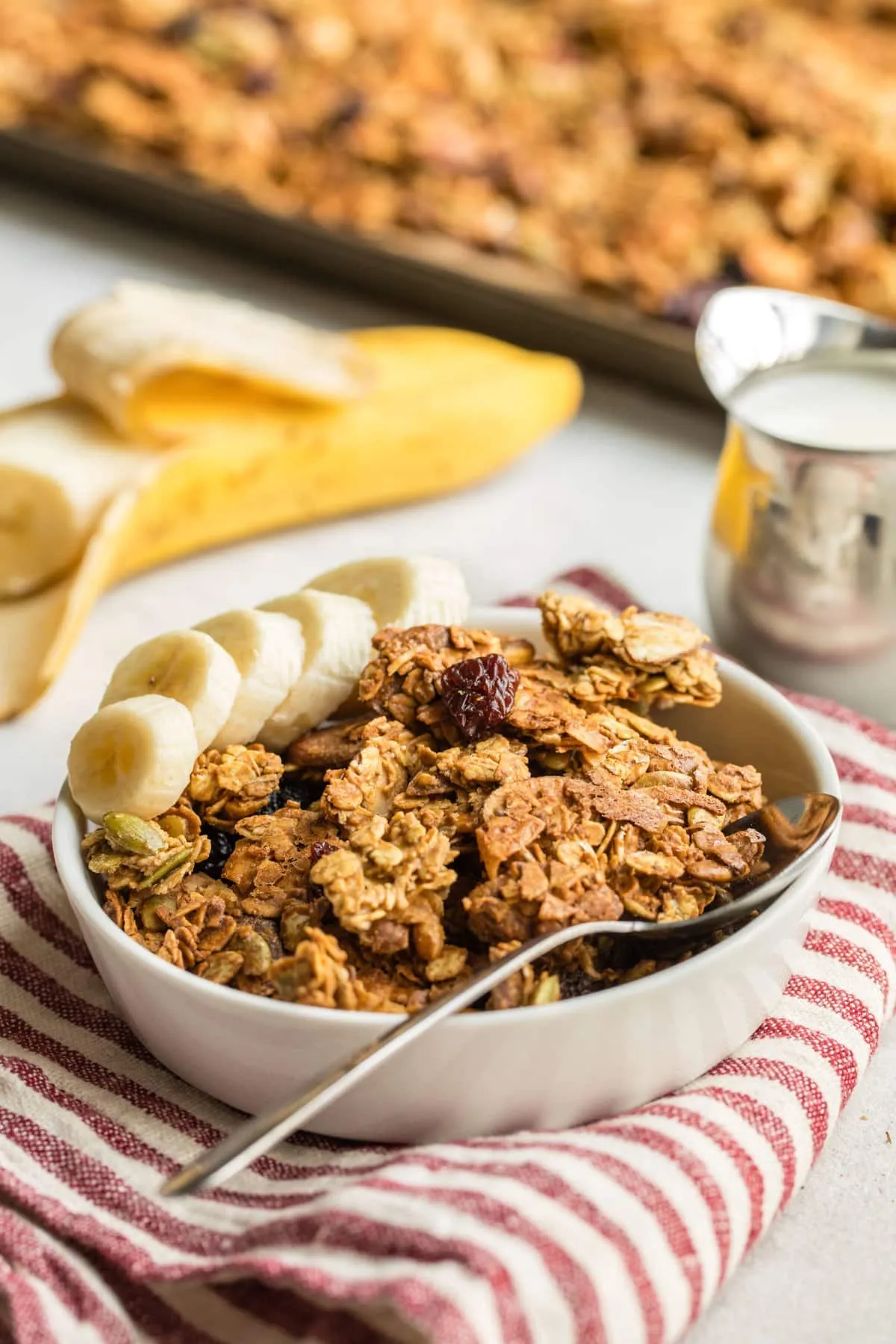 Family Size Basic Vegan Granola