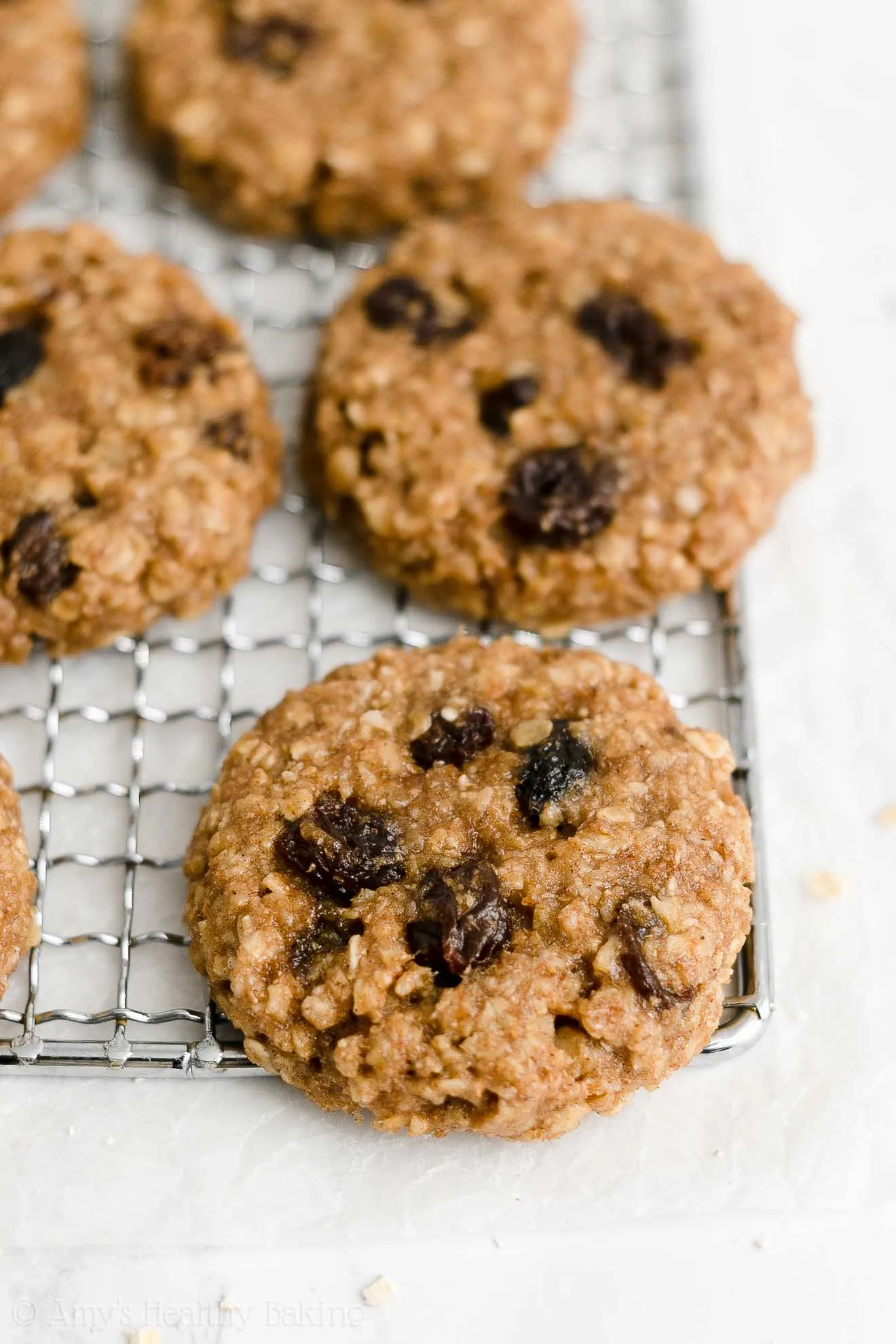 Flourless Oatmeal Raisin Cookies