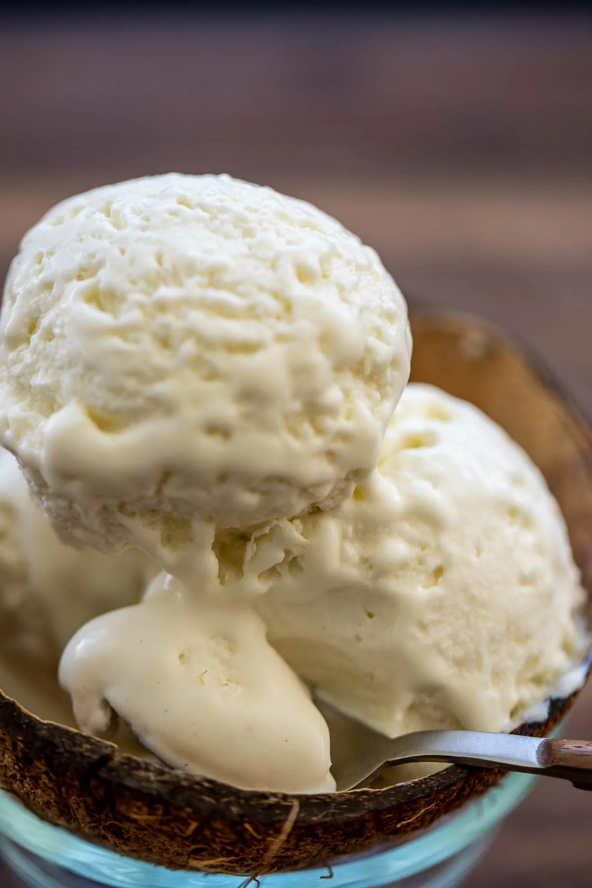 Fresh Coconut Ice Cream