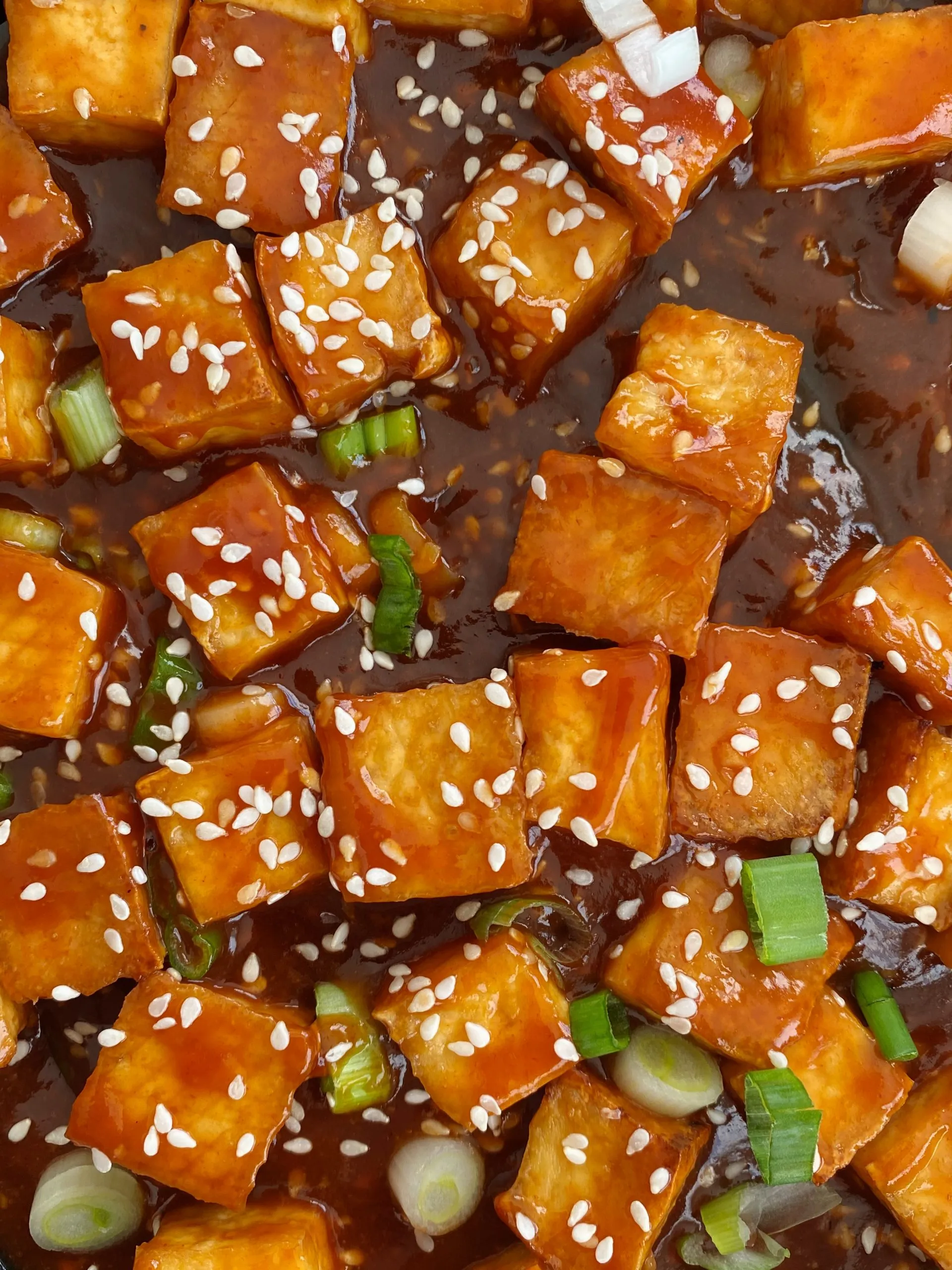 Fried Tofu with Spicy Ginger Sesame Sauce