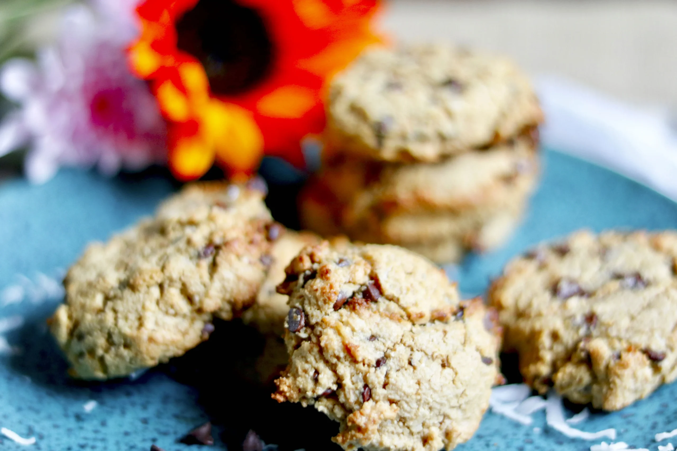 Gluten Free Chocolate Coconut Cookies