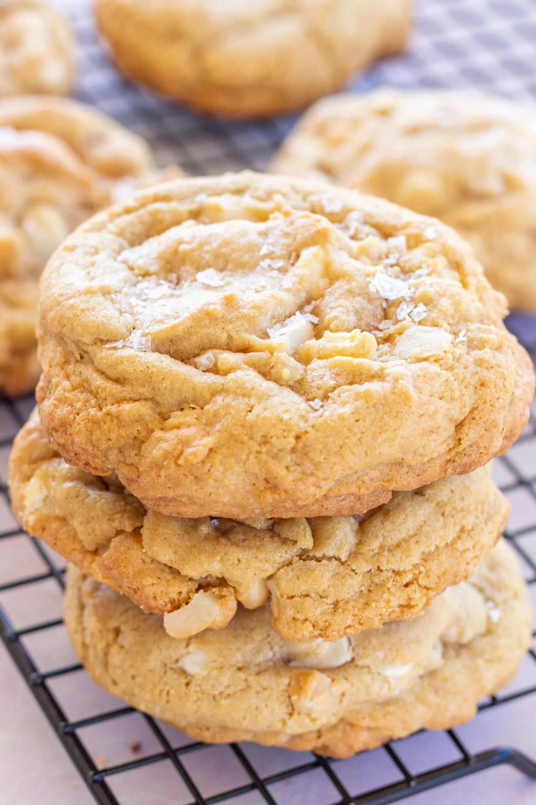 Gluten Free Chocolate Macadamia Nut Cookies