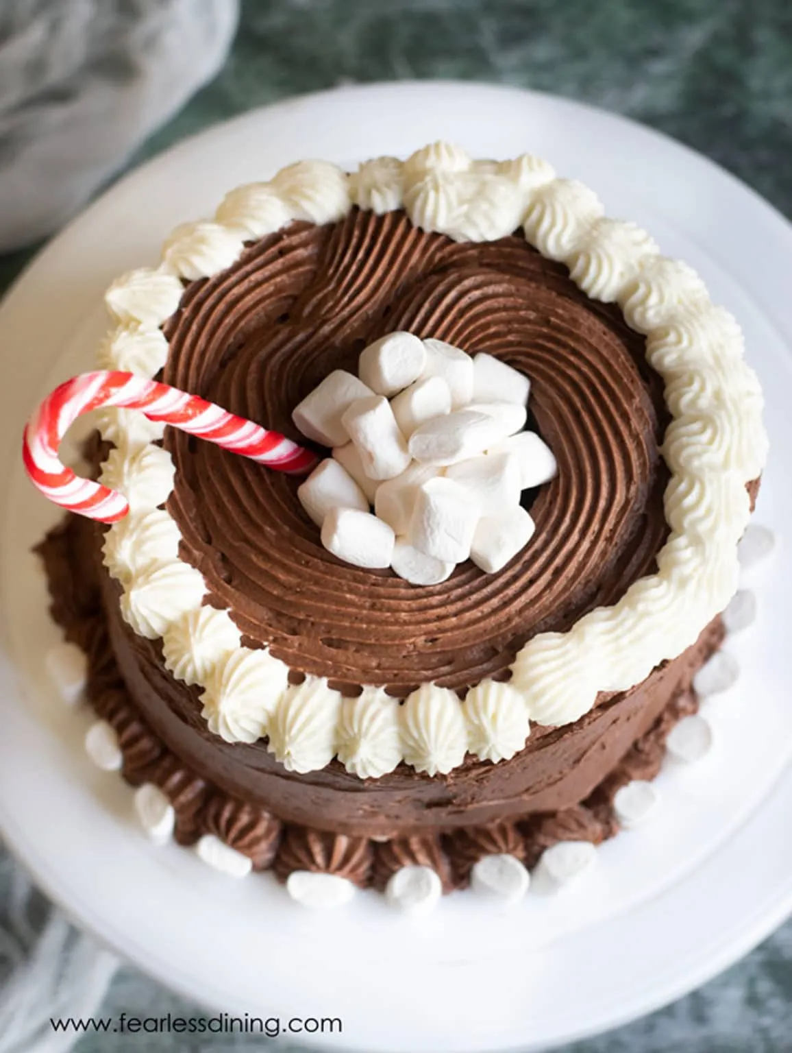 Gluten Free Chocolate Mint Cake