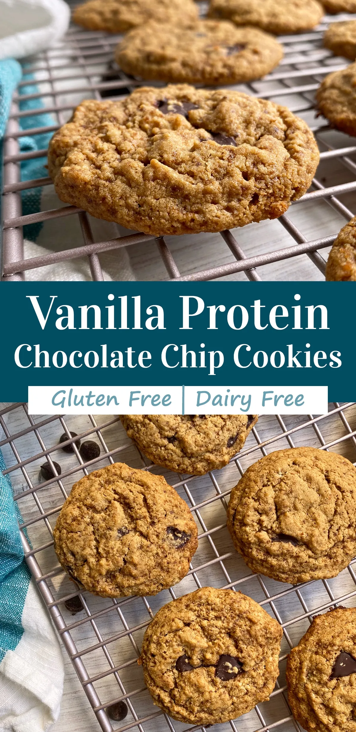 Gluten Free Protein Chocolate Chip Cookies