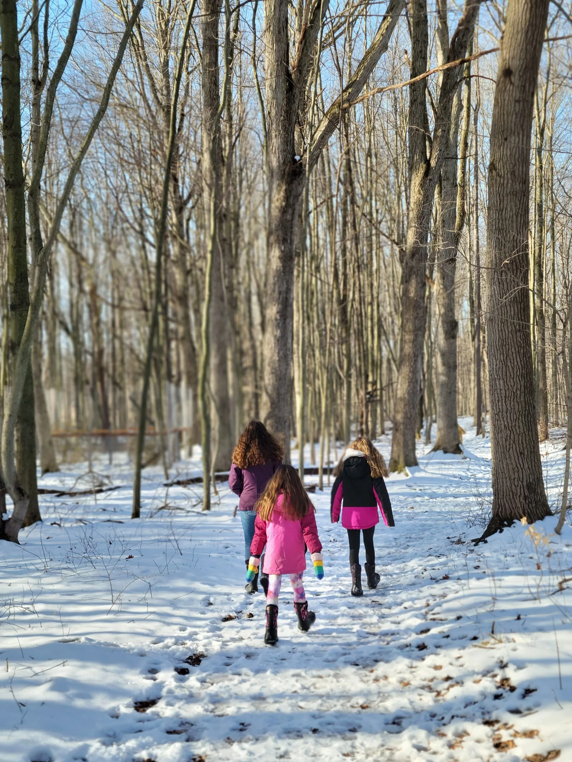 Gluten Free Veggie Loaded Taco Casserole