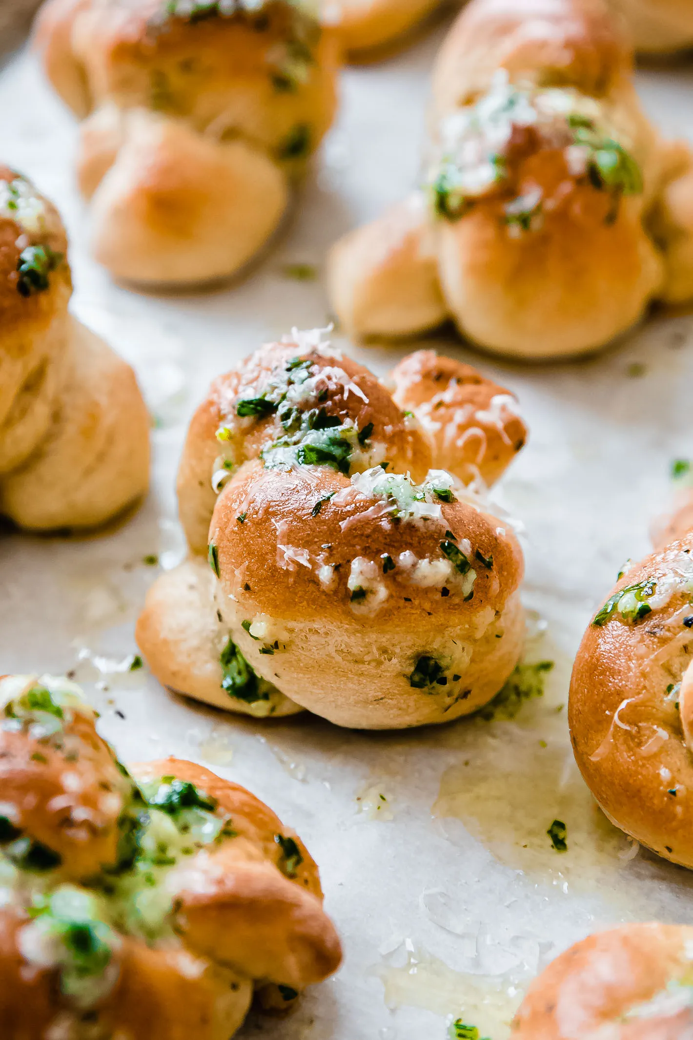 Herb Garlic Parmesan Knots