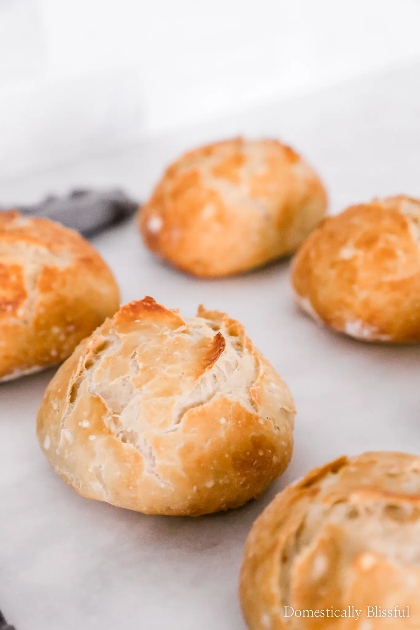 Homemade Bread Bowls No Knead