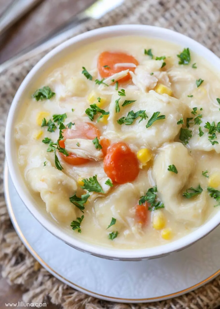 Homemade Chicken Dumpling Soup